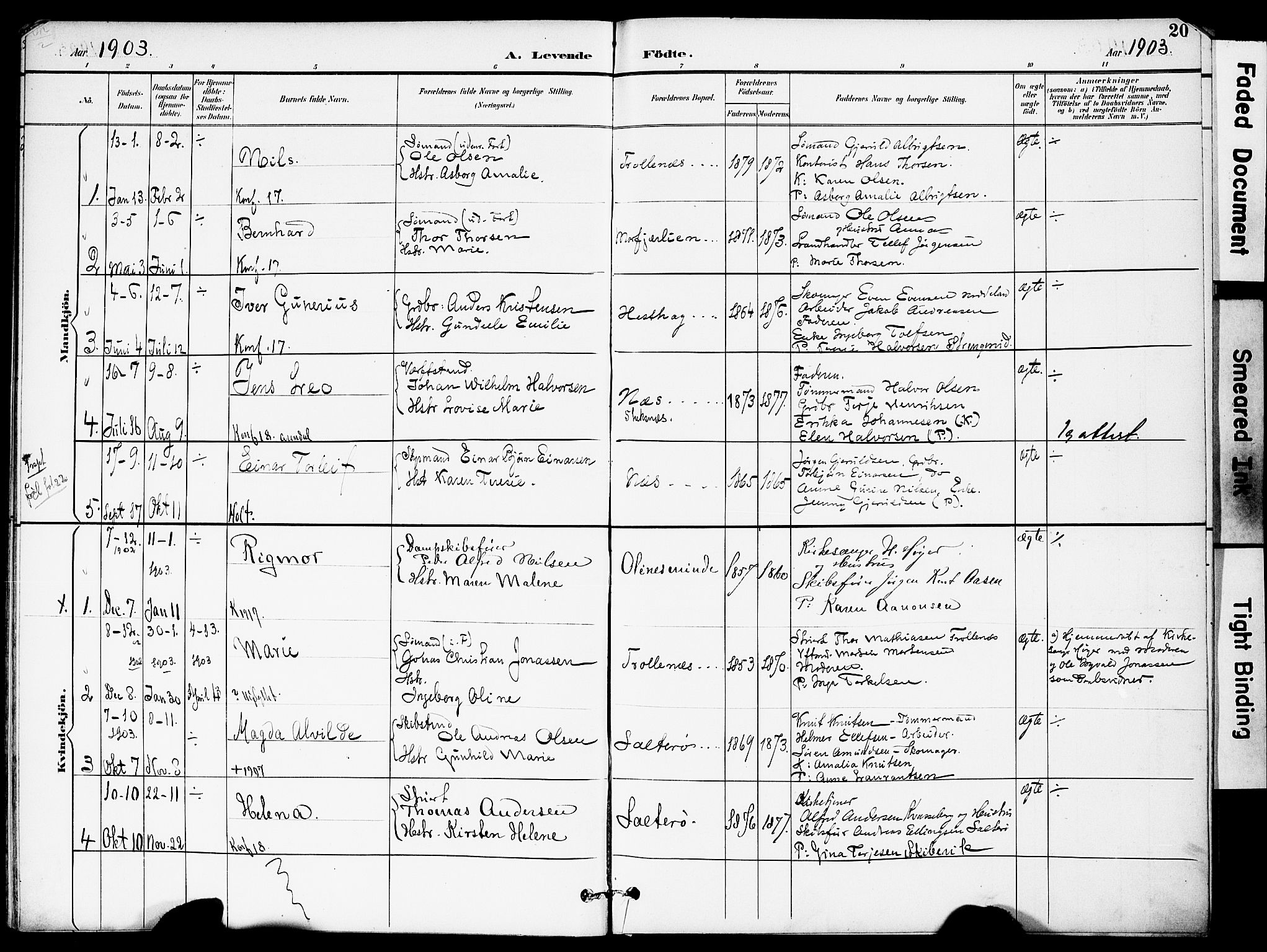 Austre Moland sokneprestkontor, AV/SAK-1111-0001/F/Fa/Fab/L0002: Parish register (official) no. A 2, 1894-1919, p. 20