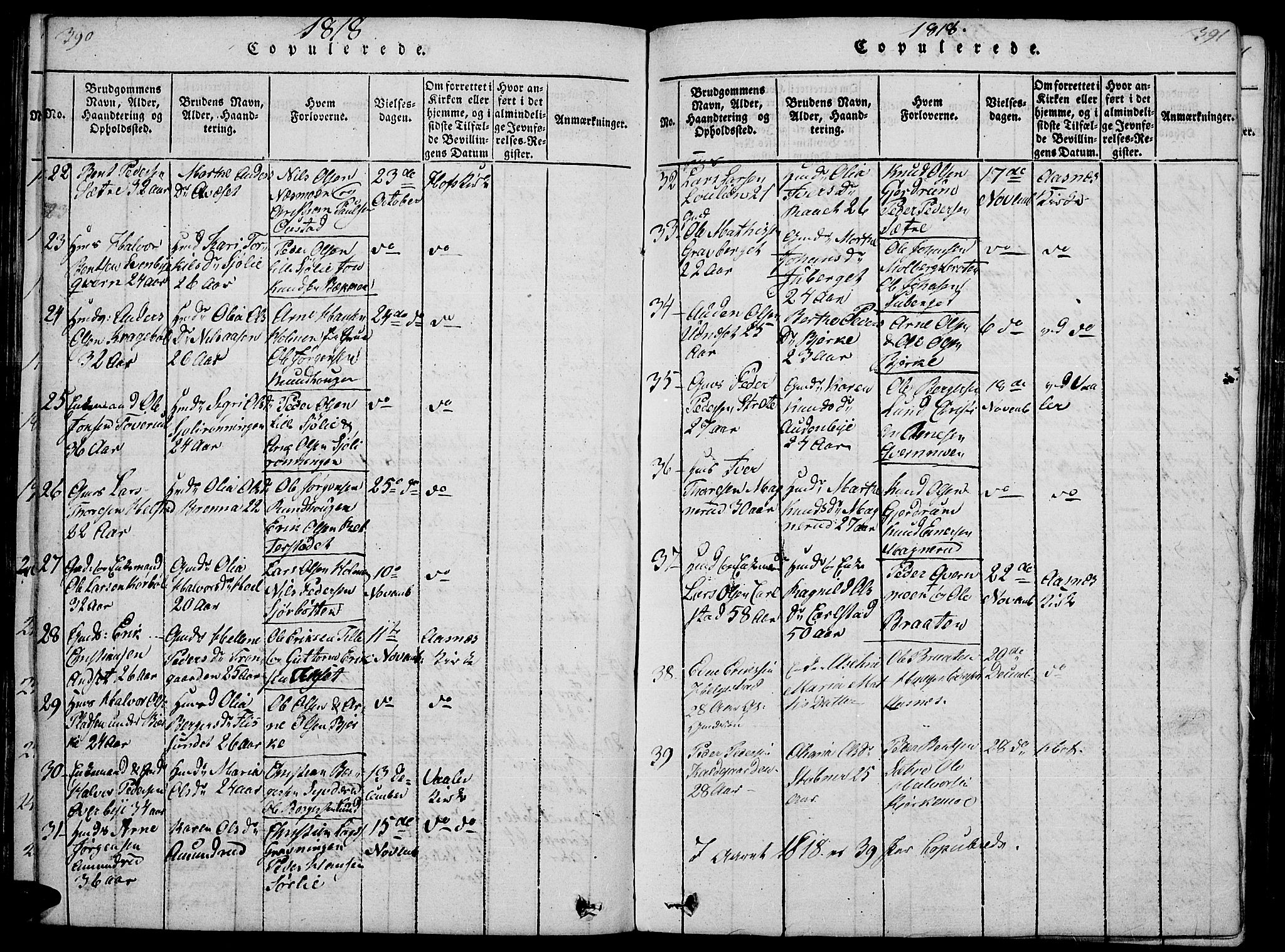 Hof prestekontor, SAH/PREST-038/H/Ha/Haa/L0005: Parish register (official) no. 5, 1816-1822, p. 390-391