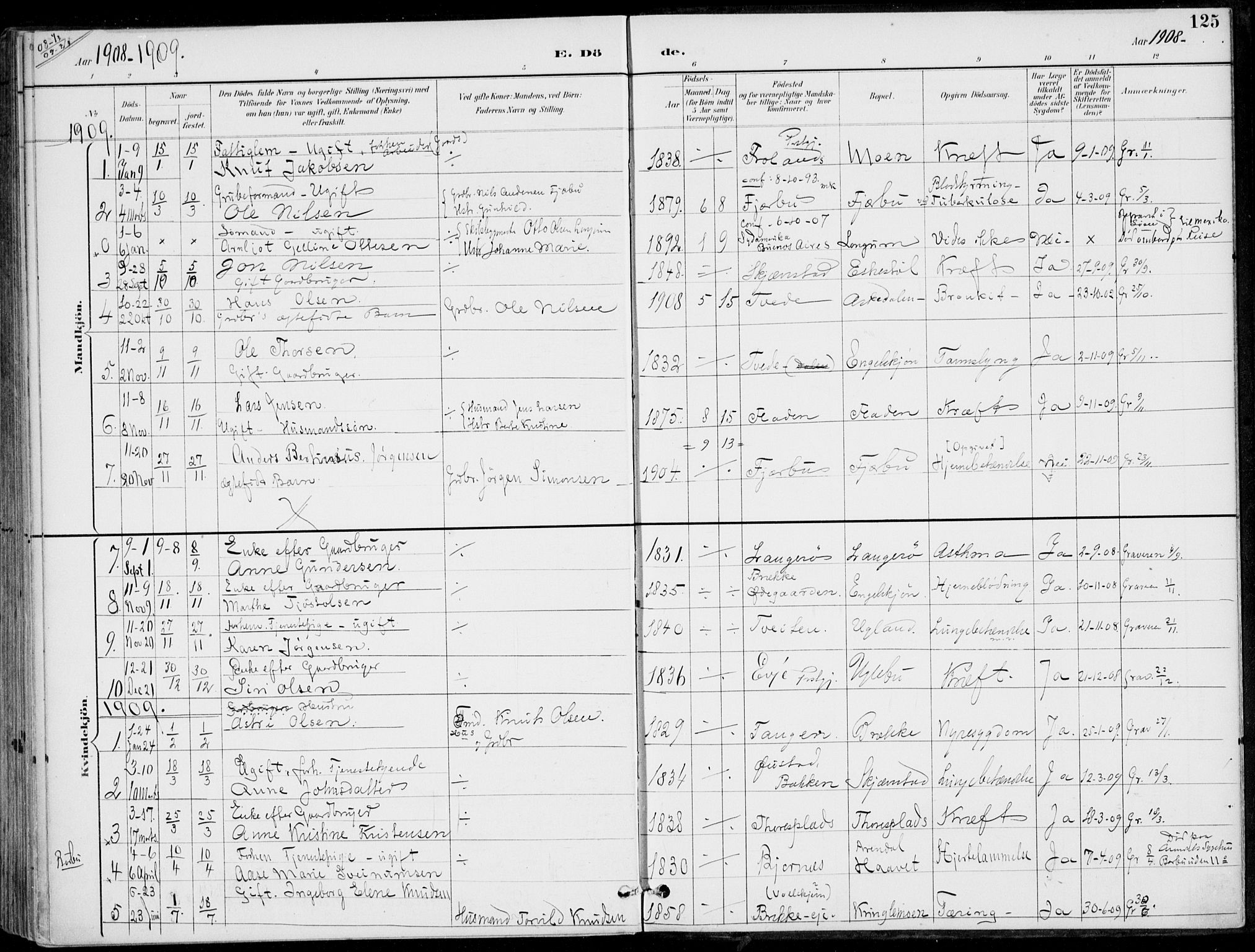 Austre Moland sokneprestkontor, AV/SAK-1111-0001/F/Fa/Faa/L0011: Parish register (official) no. A 11, 1894-1915, p. 125