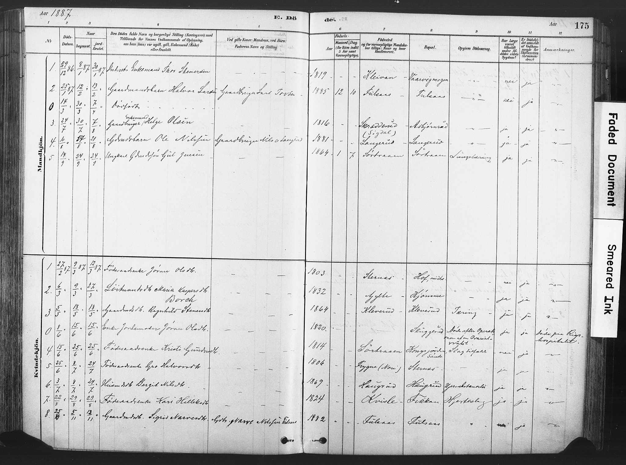 Rollag kirkebøker, SAKO/A-240/F/Fa/L0011: Parish register (official) no. I 11, 1878-1902, p. 175