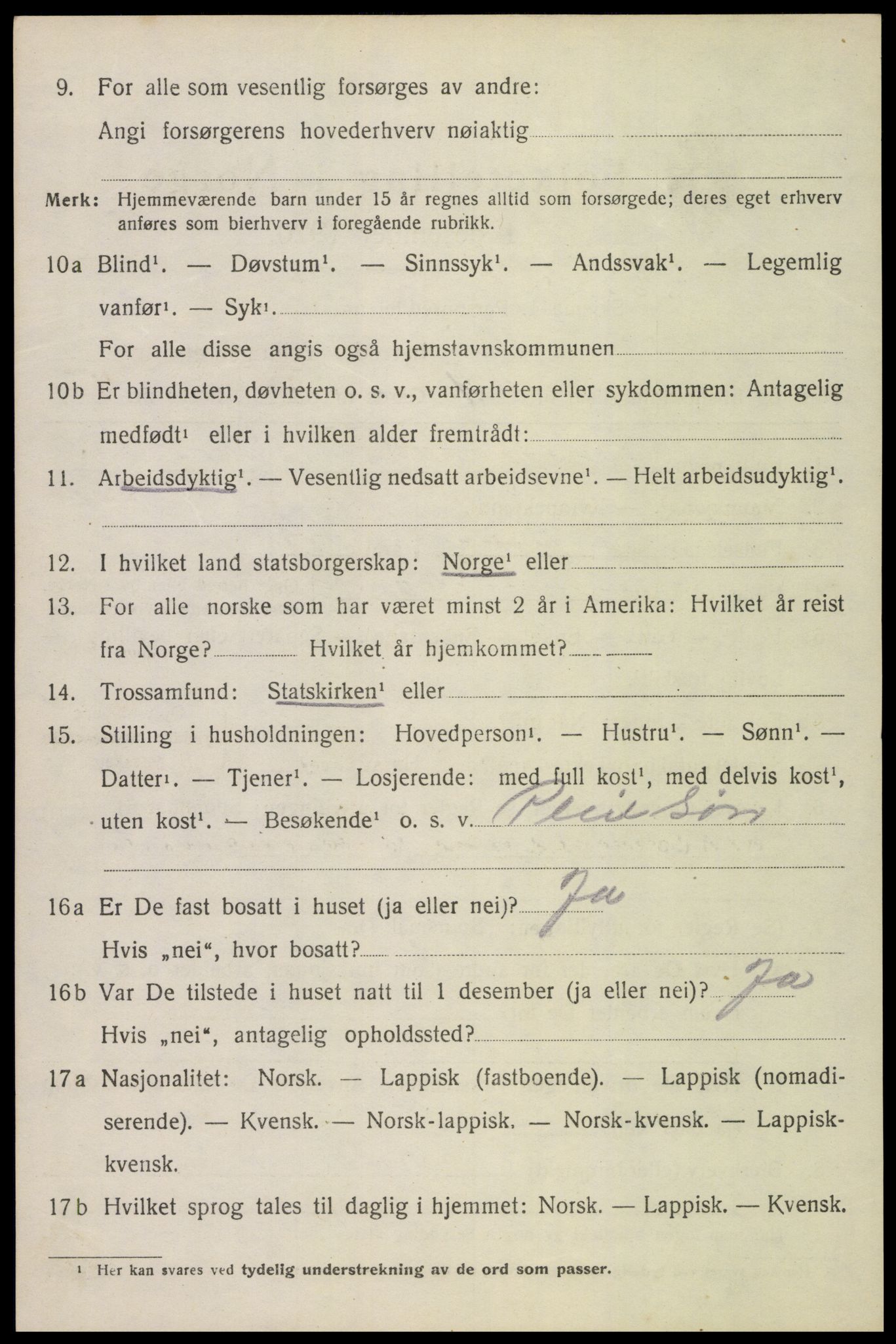 SAT, 1920 census for Bø, 1920, p. 6811