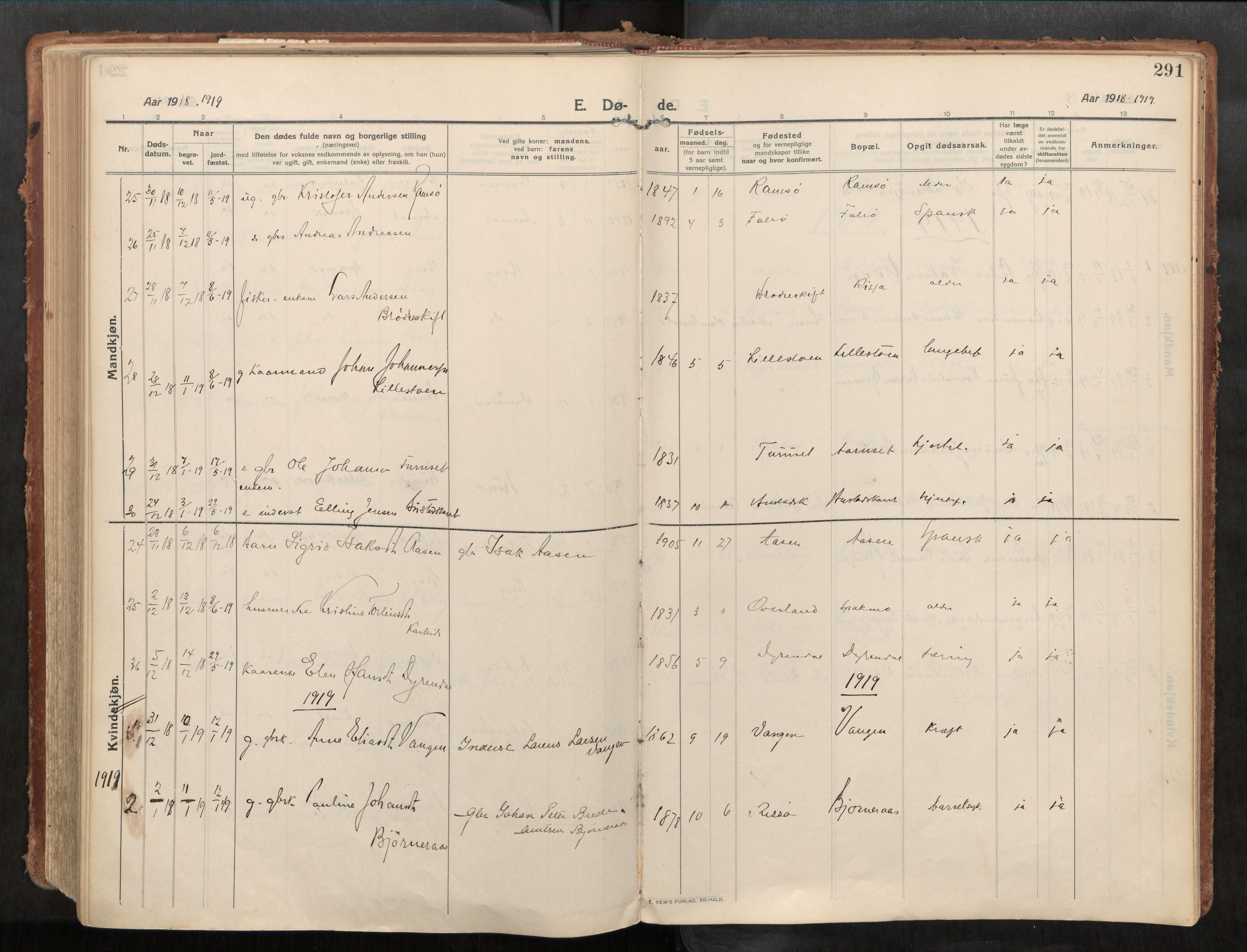 Stadsbygd sokneprestkontor, SAT/A-1117/1/I/I1/I1a/L0001: Parish register (official) no. 1, 1911-1929, p. 291