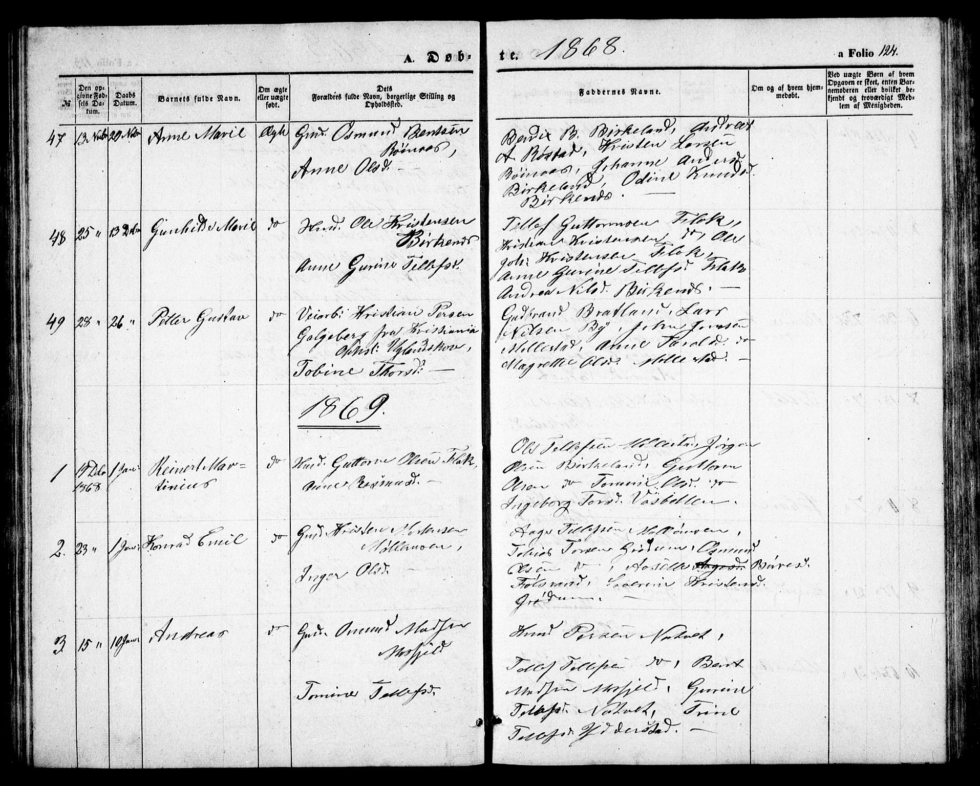 Birkenes sokneprestkontor, SAK/1111-0004/F/Fb/L0002: Parish register (copy) no. B 2, 1849-1876, p. 124