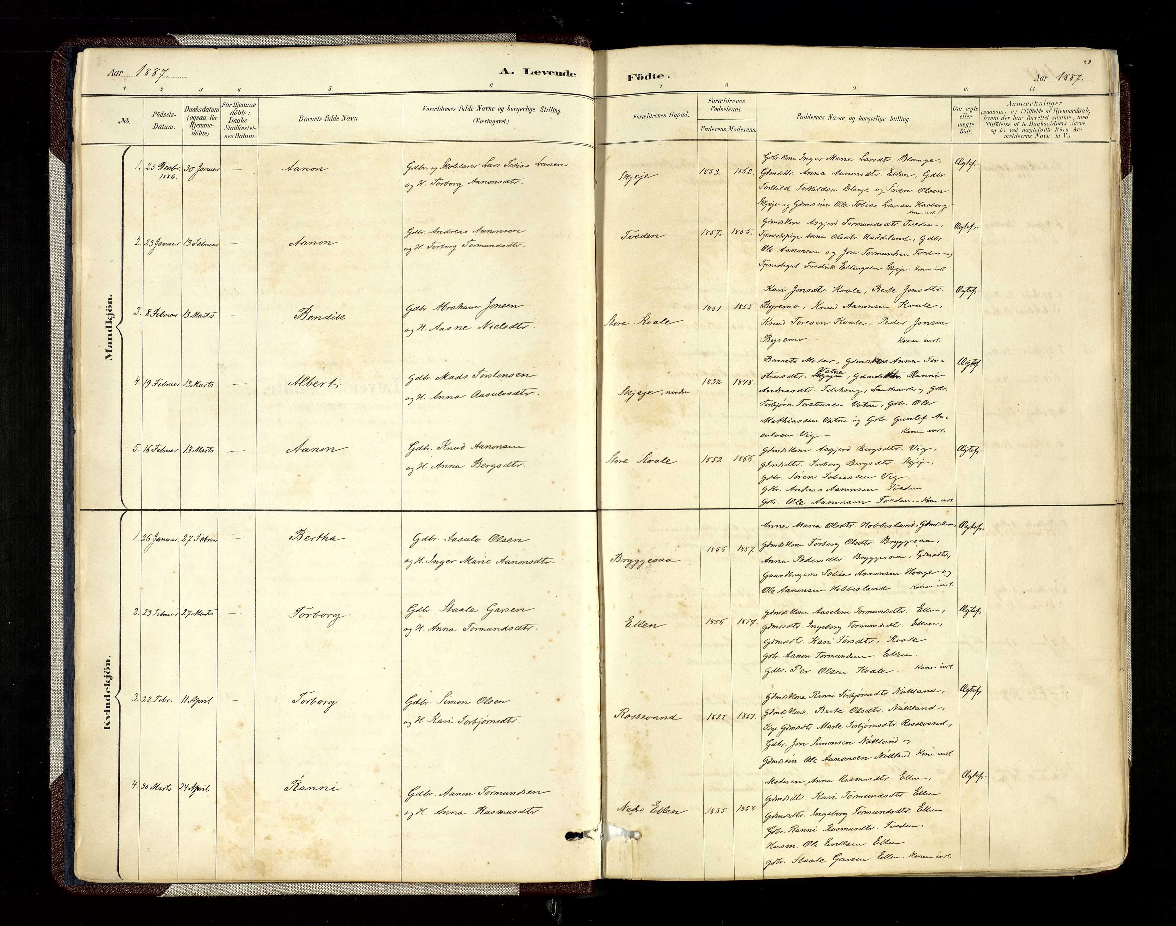 Hægebostad sokneprestkontor, SAK/1111-0024/F/Fa/Fab/L0004: Parish register (official) no. A 4, 1887-1929, p. 5