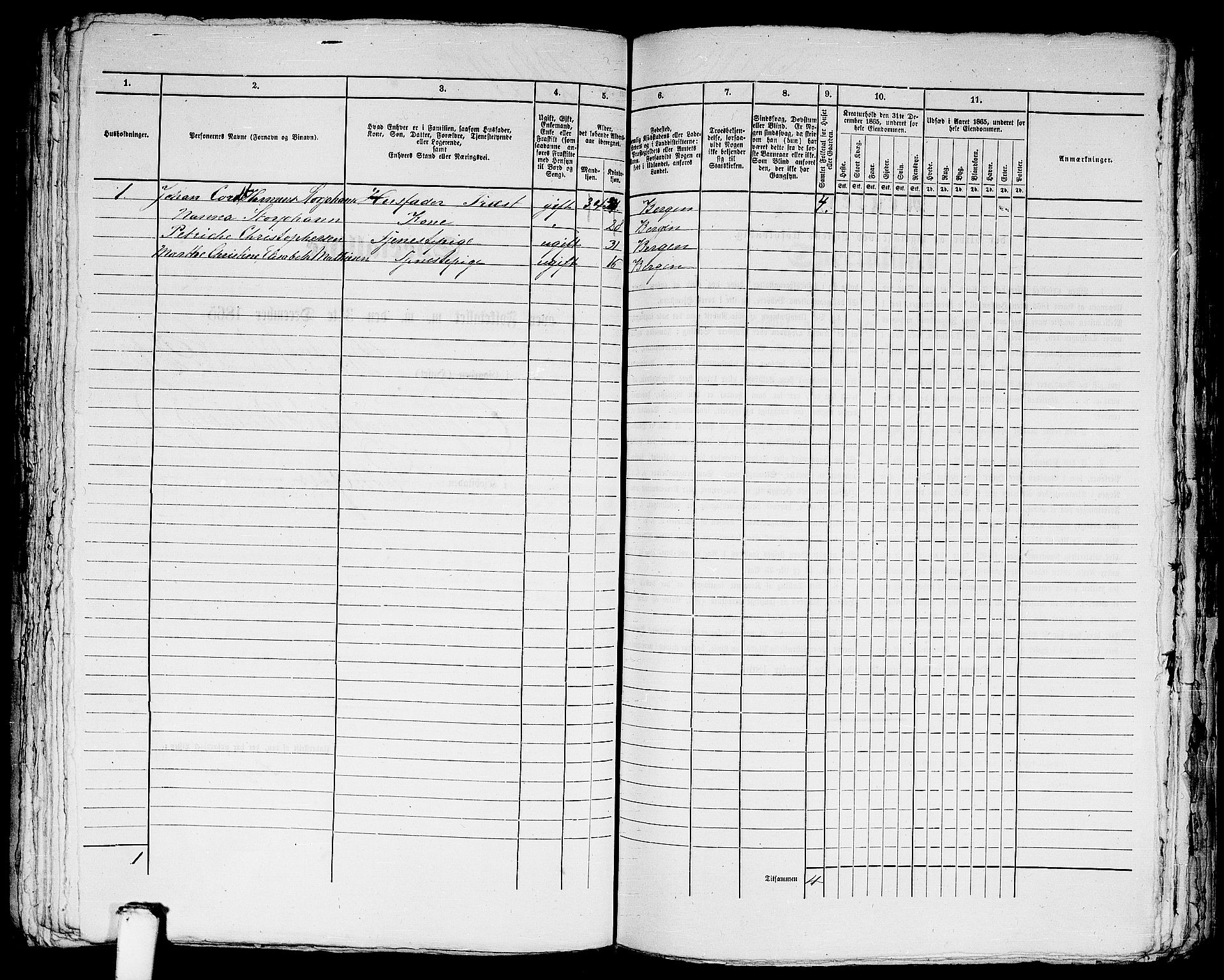 RA, 1865 census for Bergen, 1865, p. 4924