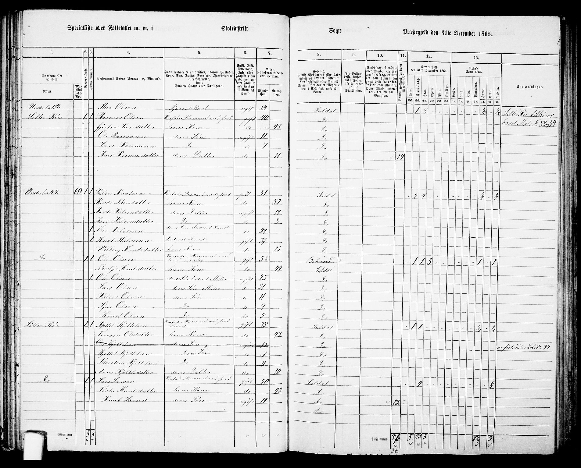 RA, 1865 census for Suldal, 1865, p. 47