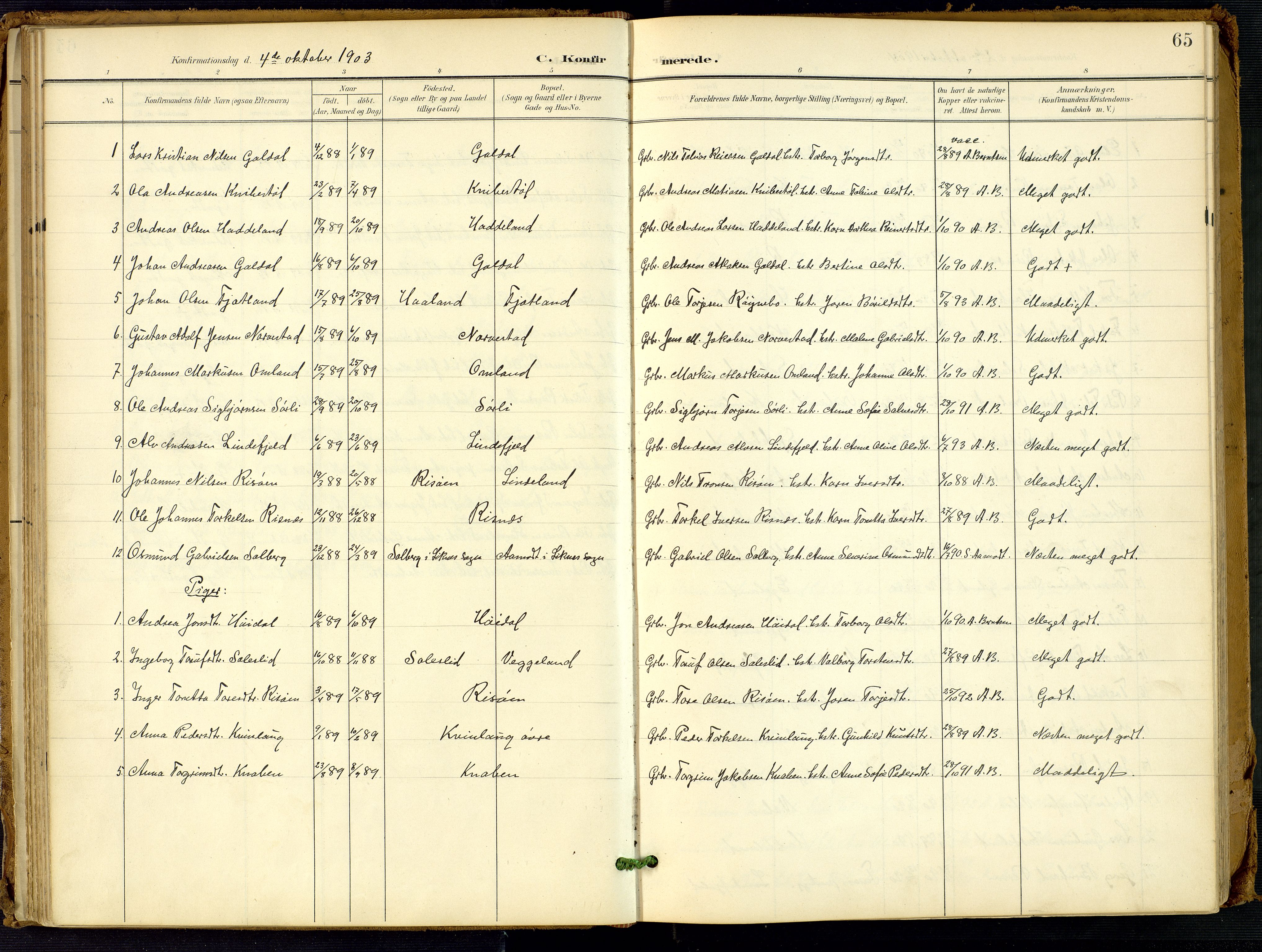 Fjotland sokneprestkontor, AV/SAK-1111-0010/F/Fa/L0003: Parish register (official) no. A 3, 1899-1917, p. 65