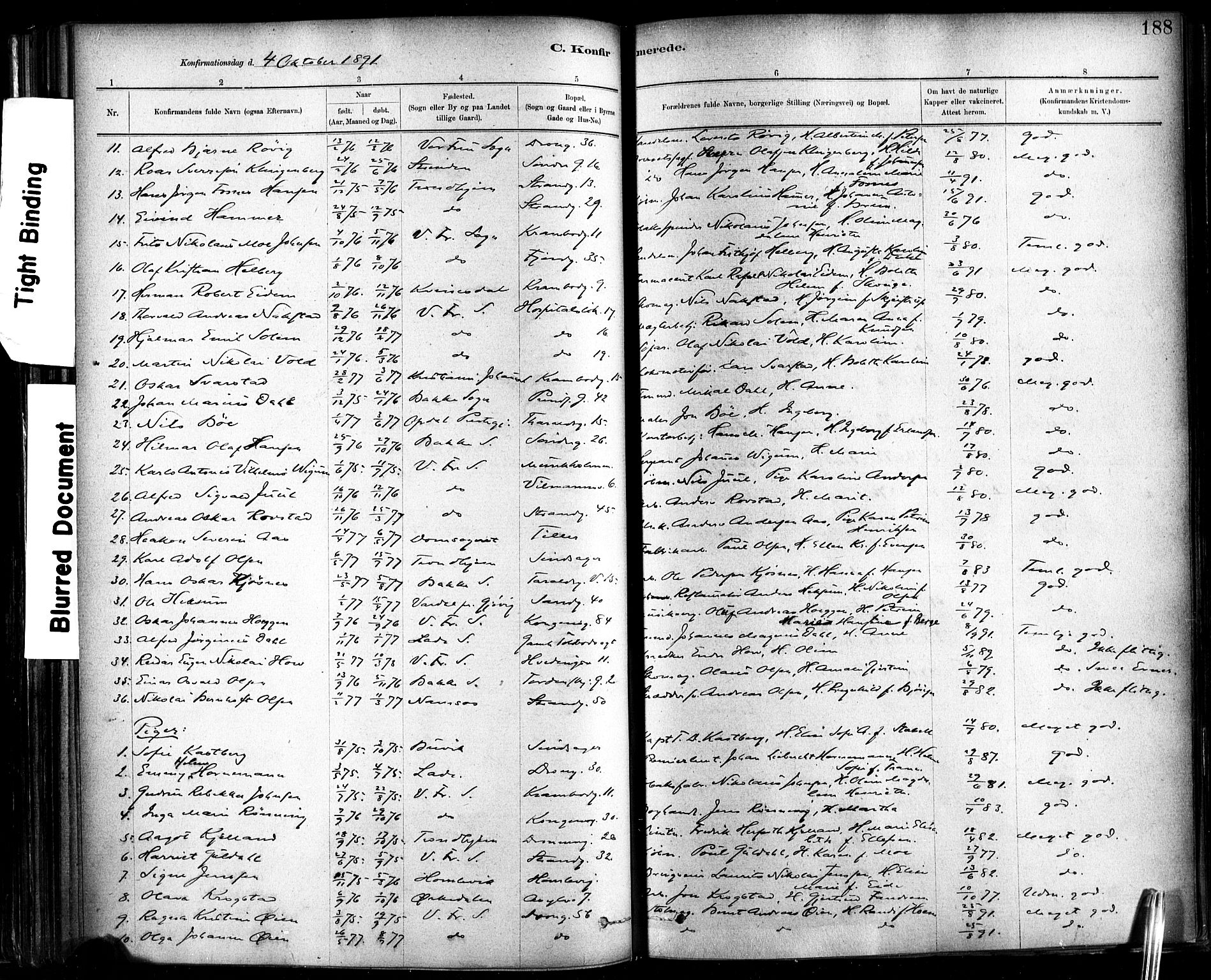 Ministerialprotokoller, klokkerbøker og fødselsregistre - Sør-Trøndelag, SAT/A-1456/602/L0119: Parish register (official) no. 602A17, 1880-1901, p. 188