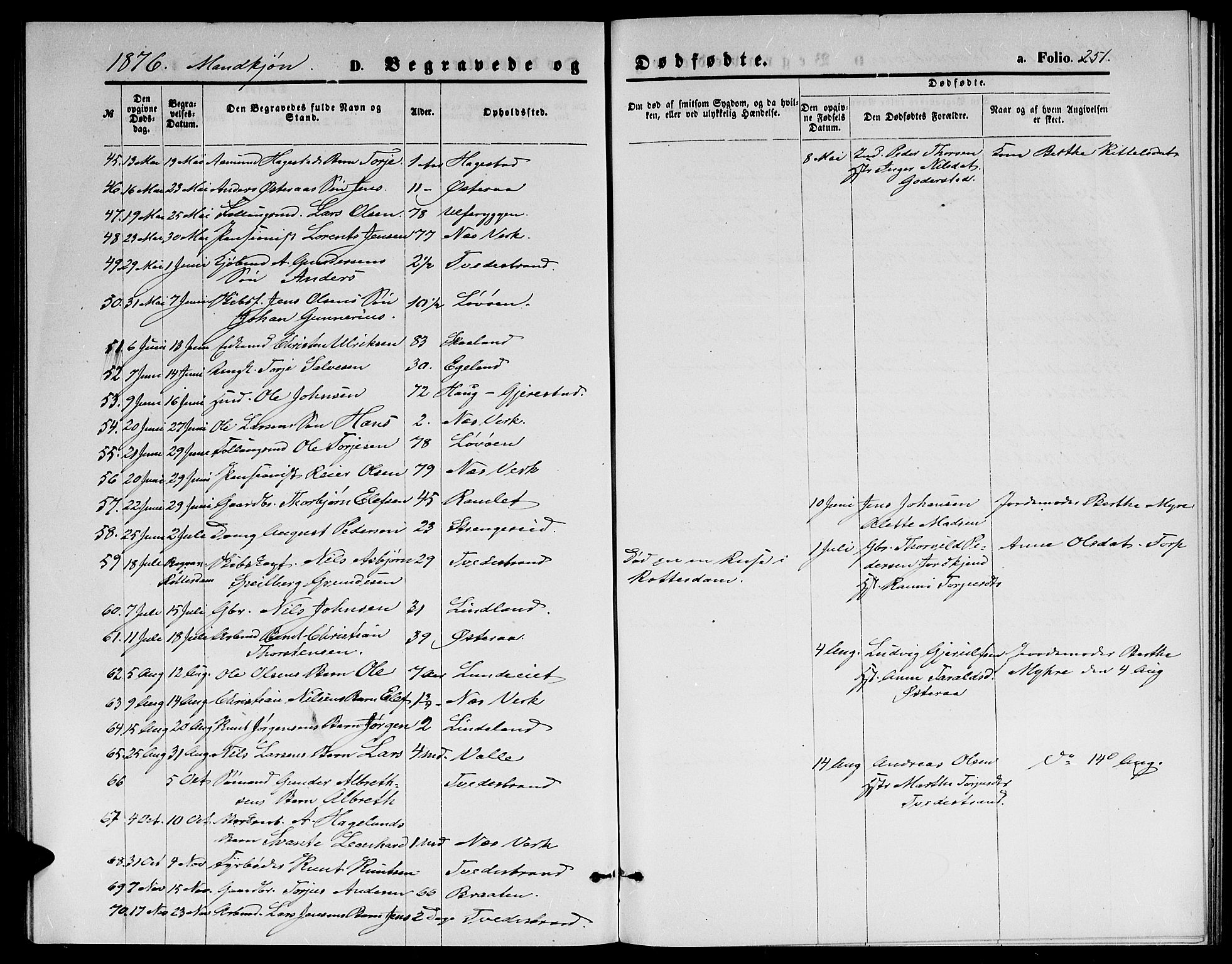 Holt sokneprestkontor, AV/SAK-1111-0021/F/Fb/L0009: Parish register (copy) no. B 9, 1871-1883, p. 251