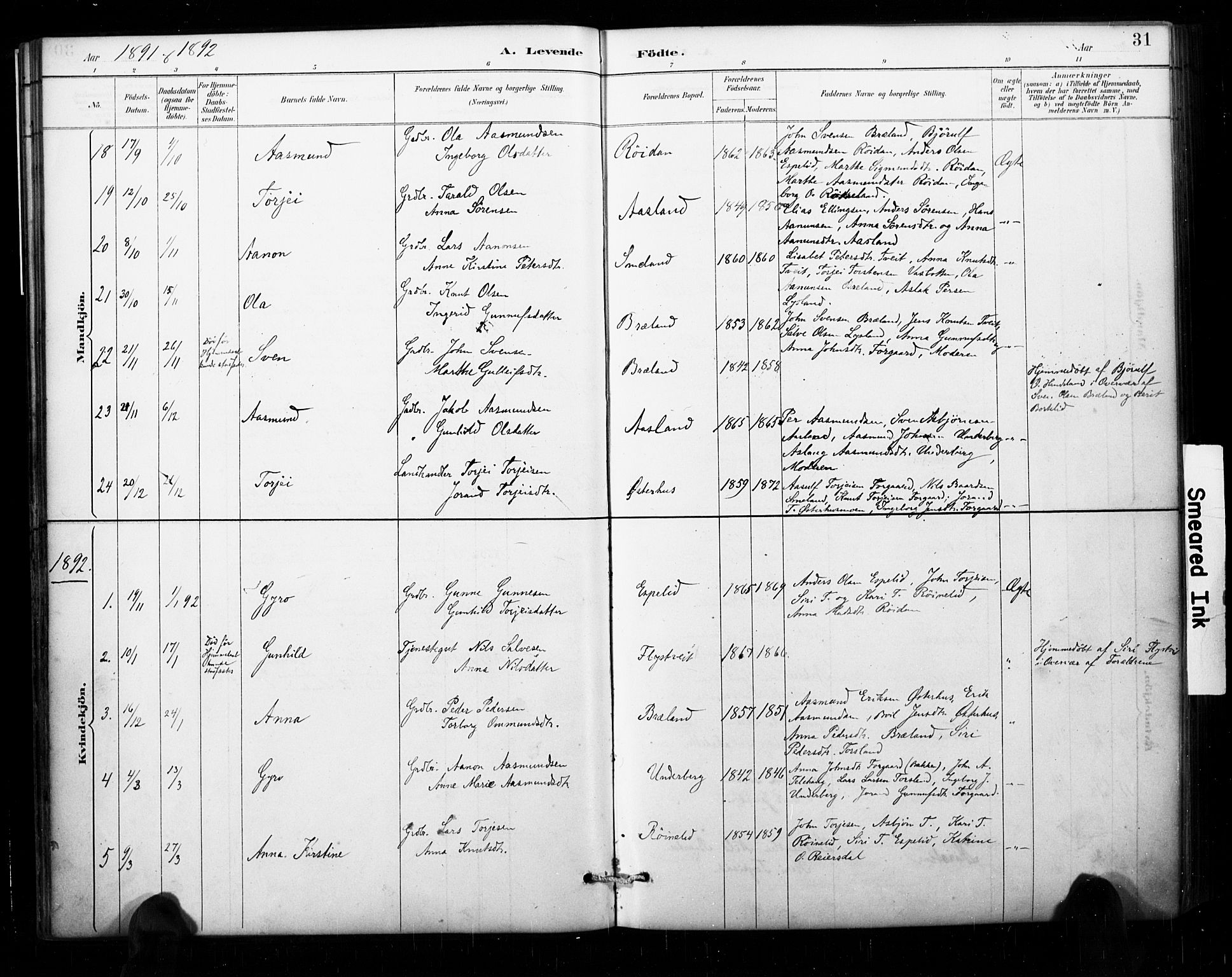 Åseral sokneprestkontor, AV/SAK-1111-0051/F/Fa/L0003: Parish register (official) no. A 3, 1884-1901, p. 31