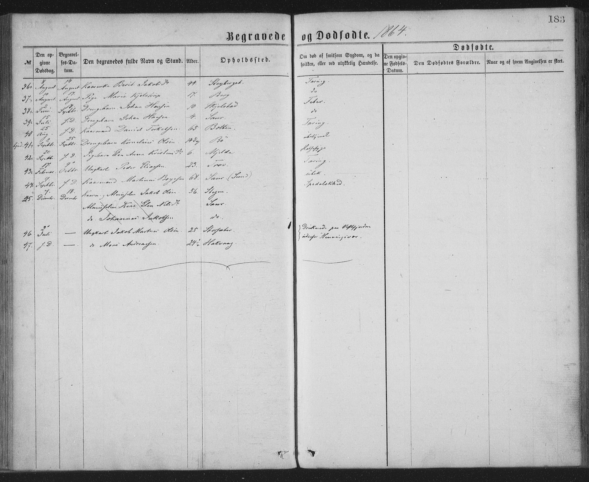 Ministerialprotokoller, klokkerbøker og fødselsregistre - Nordland, AV/SAT-A-1459/855/L0801: Parish register (official) no. 855A09, 1864-1874, p. 183