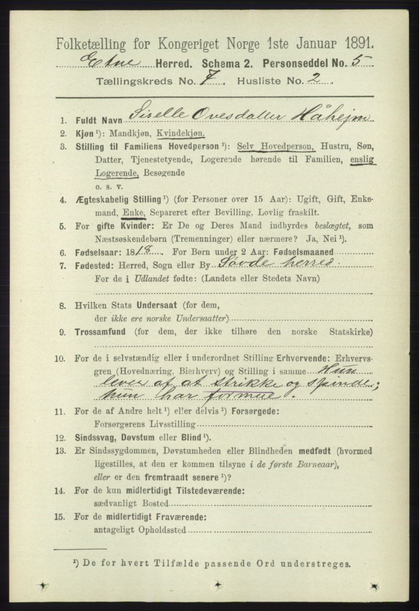 RA, 1891 census for 1211 Etne, 1891, p. 1401