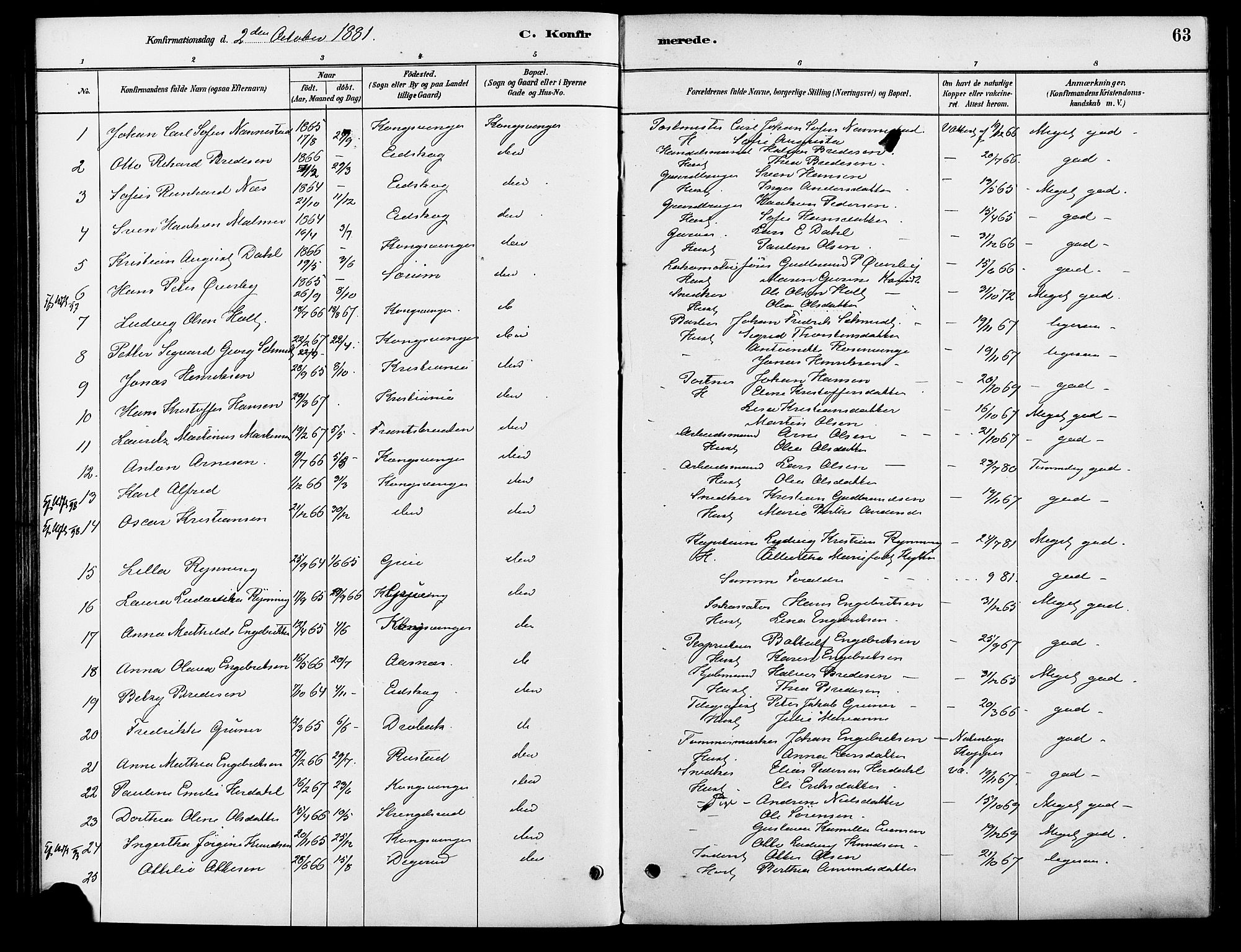 Vinger prestekontor, AV/SAH-PREST-024/H/Ha/Haa/L0013: Parish register (official) no. 13, 1881-1897, p. 63