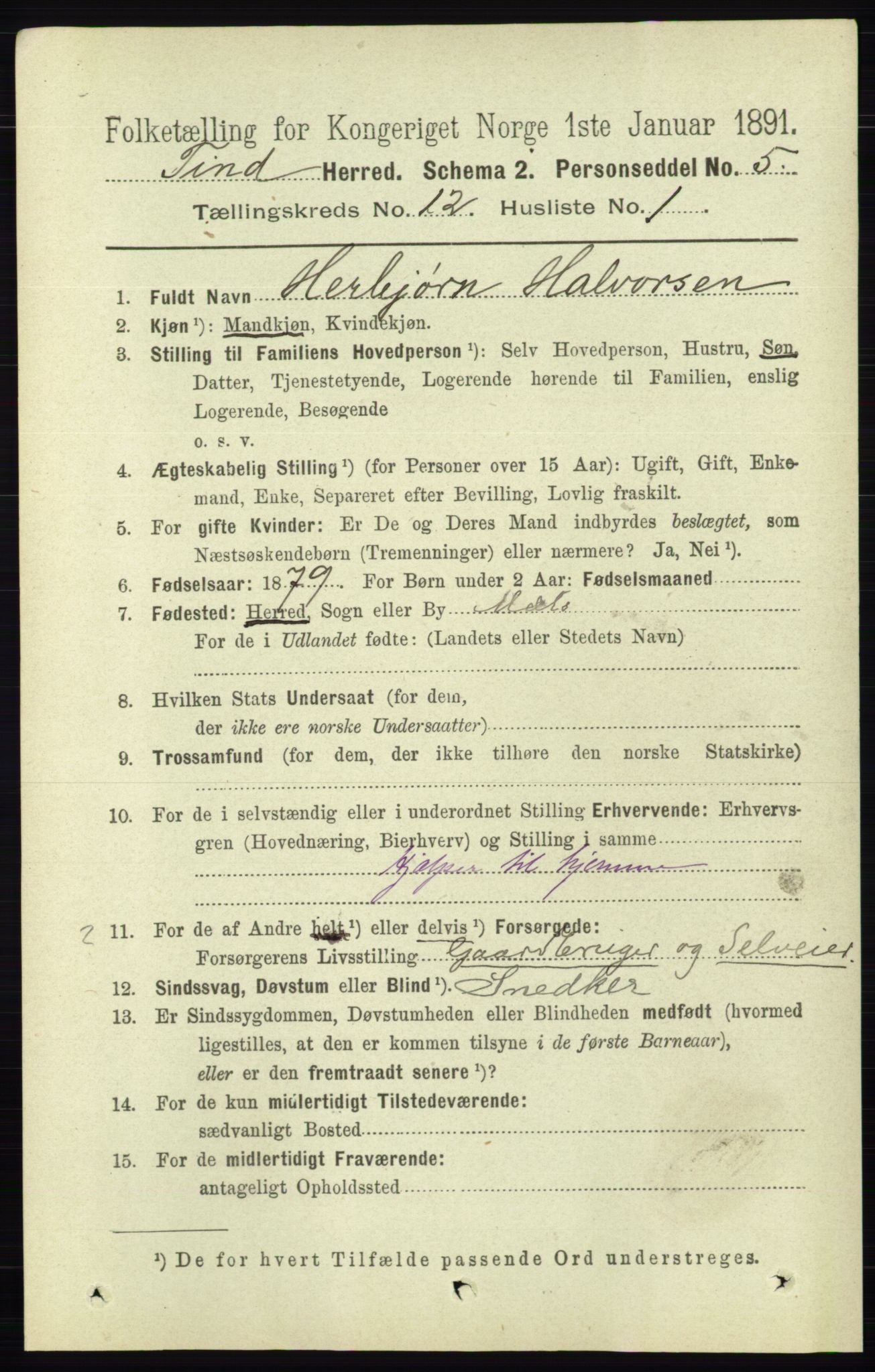 RA, 1891 census for 0826 Tinn, 1891, p. 2322
