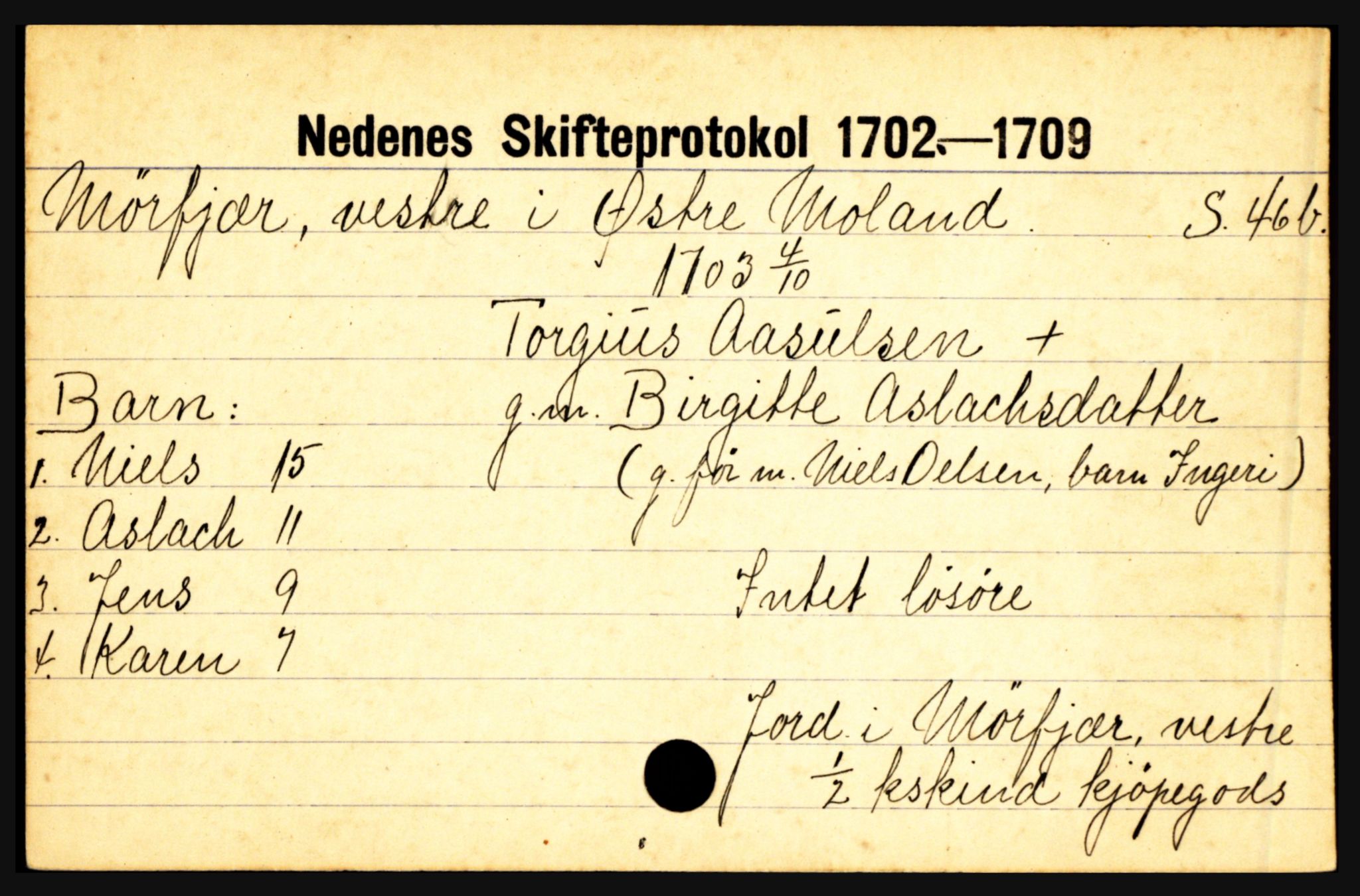 Nedenes sorenskriveri før 1824, AV/SAK-1221-0007/H, p. 20731