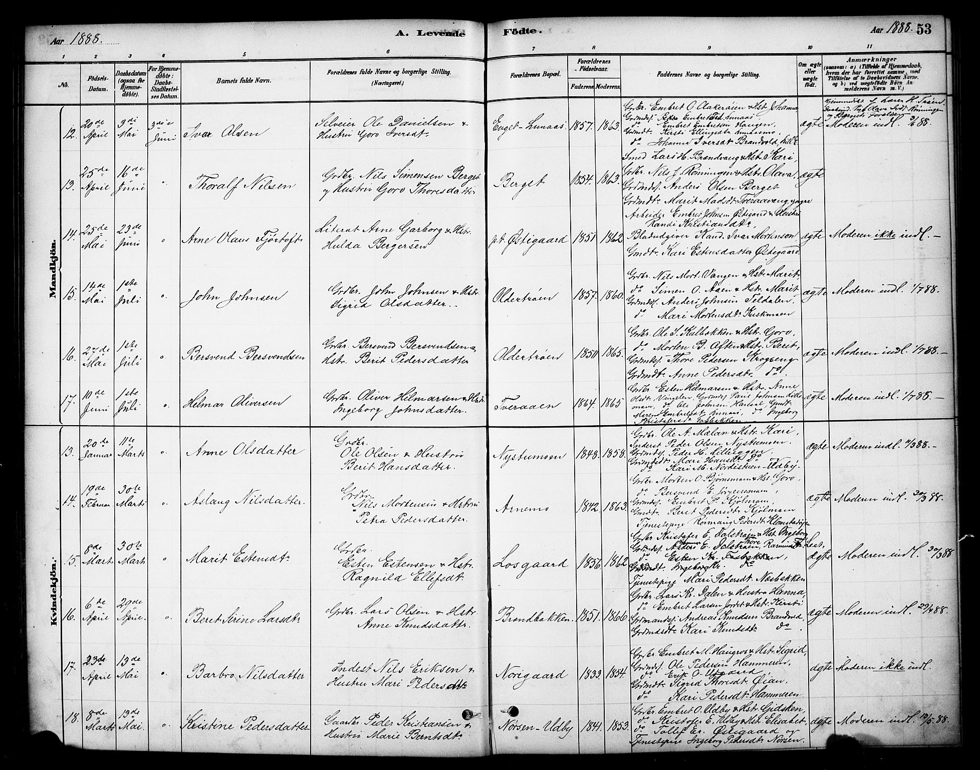 Tynset prestekontor, SAH/PREST-058/H/Ha/Hab/L0006: Parish register (copy) no. 6, 1880-1899, p. 53