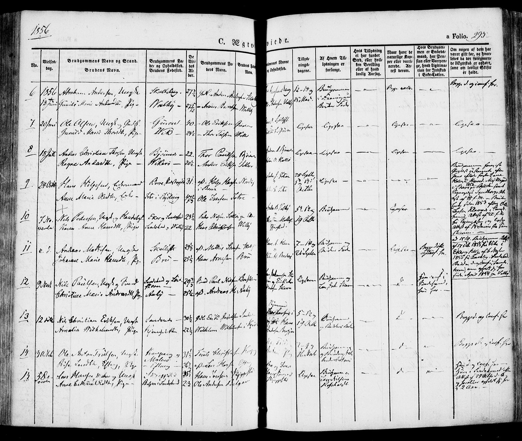 Tjølling kirkebøker, SAKO/A-60/F/Fa/L0006: Parish register (official) no. 6, 1835-1859, p. 295