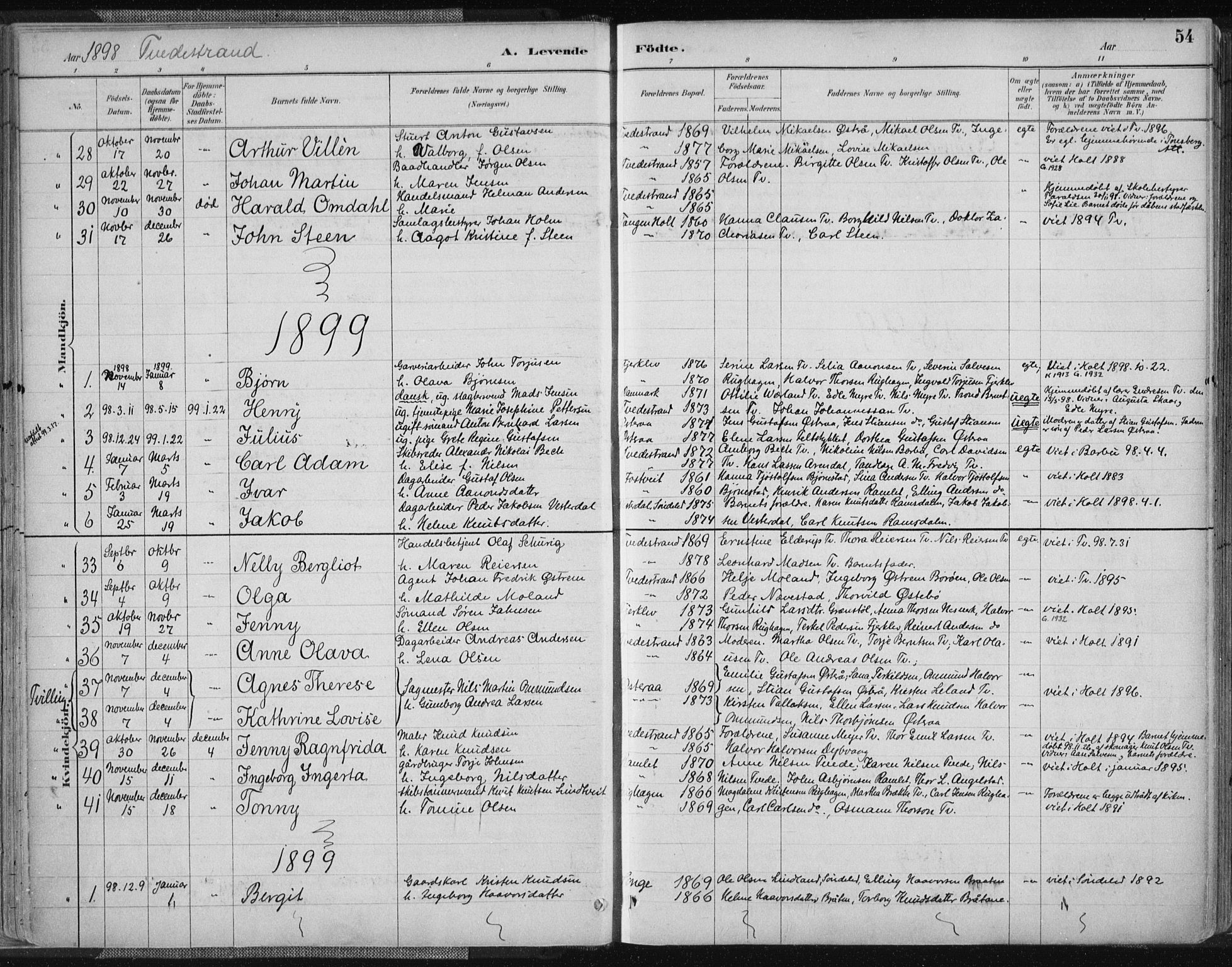 Tvedestrand sokneprestkontor, SAK/1111-0042/F/Fa/L0001: Parish register (official) no. A 1, 1885-1916, p. 54