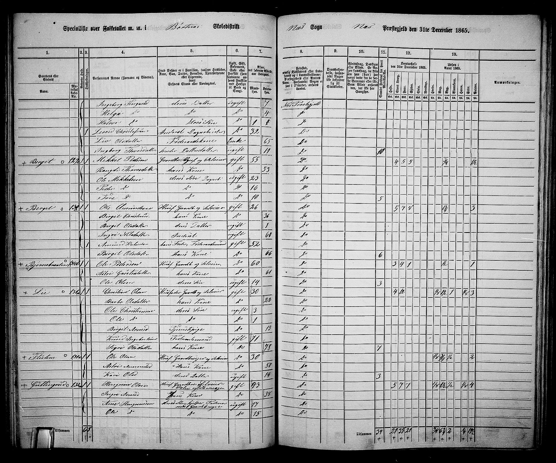 RA, 1865 census for Nes, 1865, p. 110