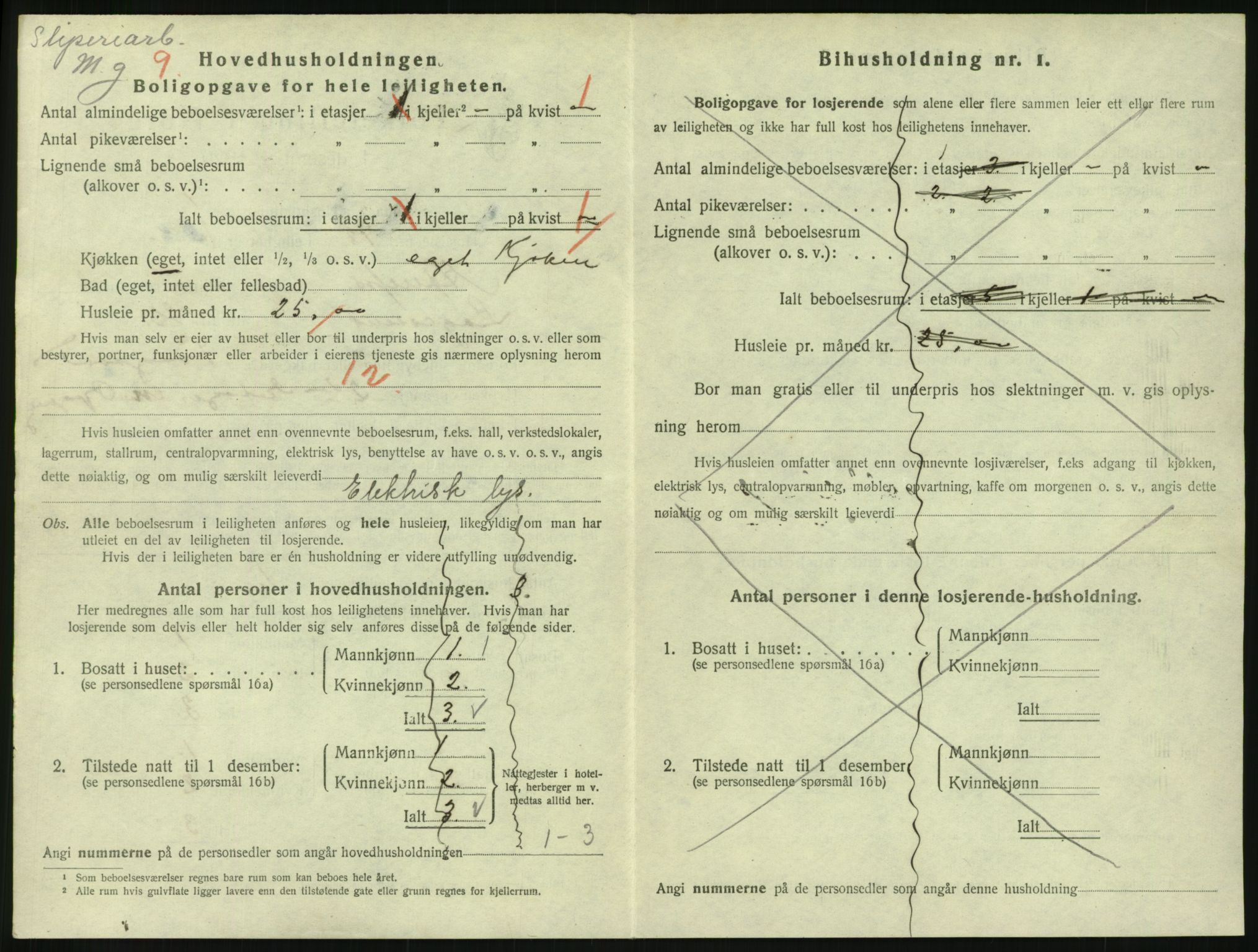 SAKO, 1920 census for Hønefoss, 1920, p. 1477