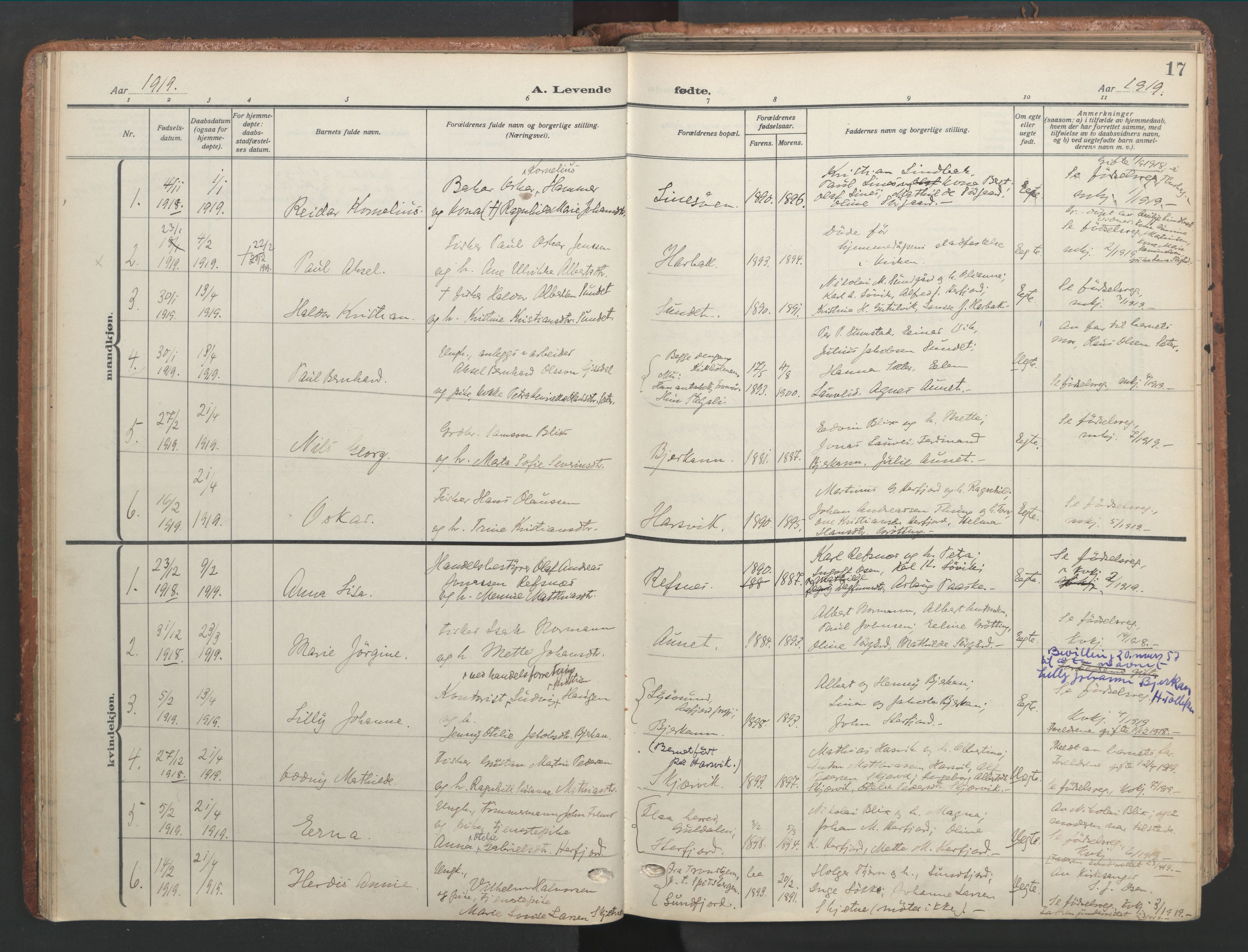 Ministerialprotokoller, klokkerbøker og fødselsregistre - Sør-Trøndelag, SAT/A-1456/656/L0694: Parish register (official) no. 656A03, 1914-1931, p. 17