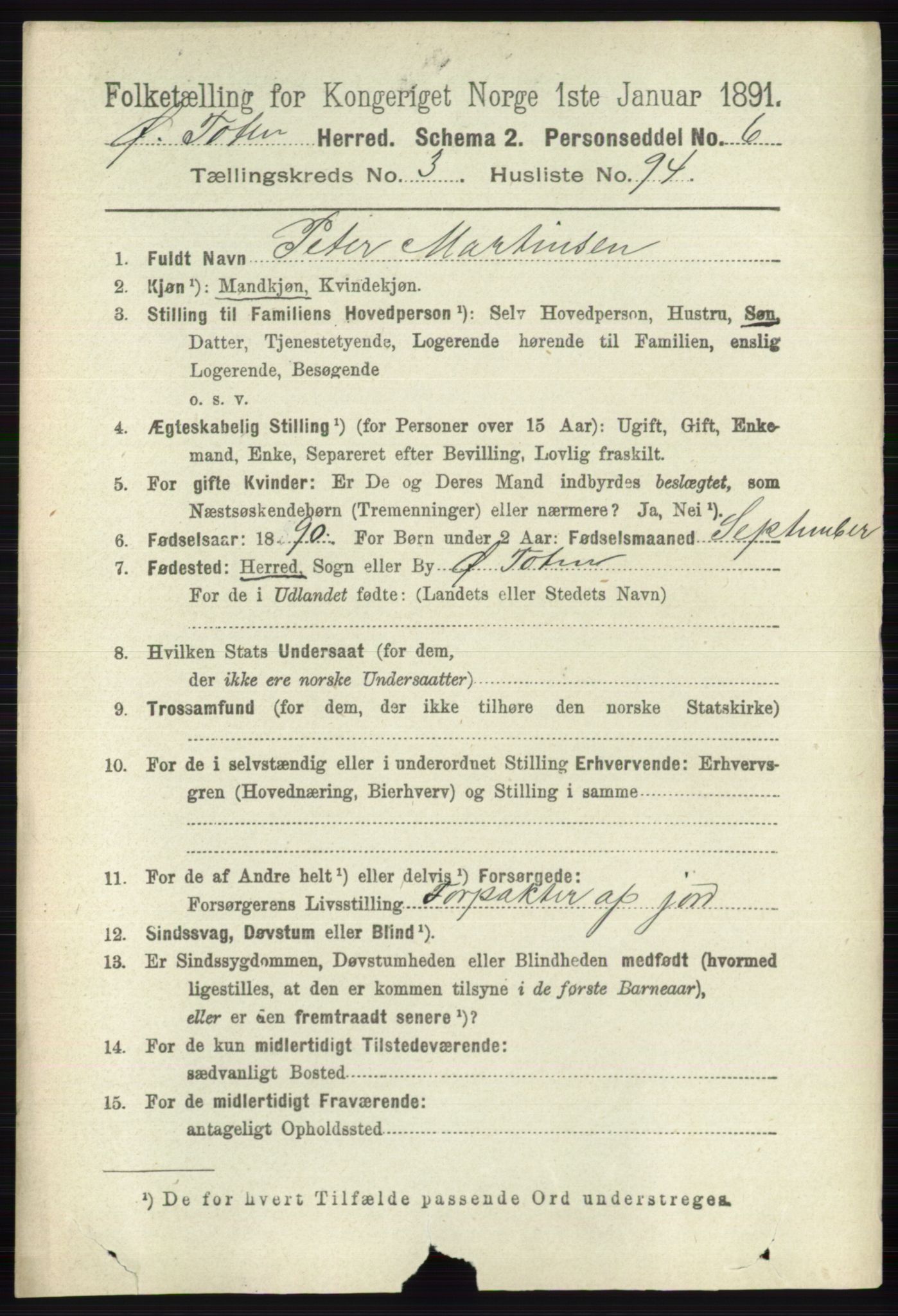 RA, 1891 census for 0528 Østre Toten, 1891, p. 2090