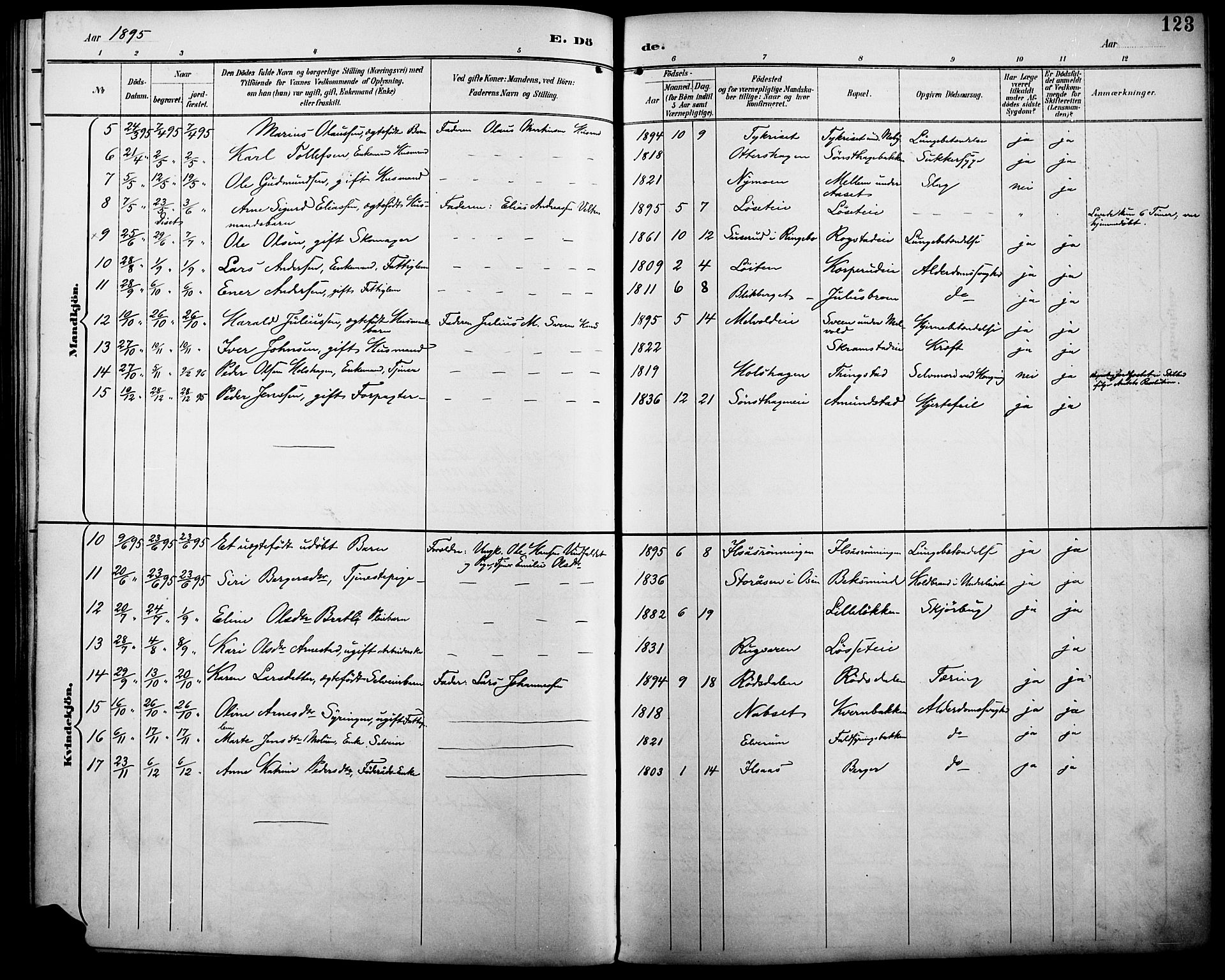 Åmot prestekontor, Hedmark, AV/SAH-PREST-056/H/Ha/Haa/L0011: Parish register (official) no. 11, 1890-1897, p. 123