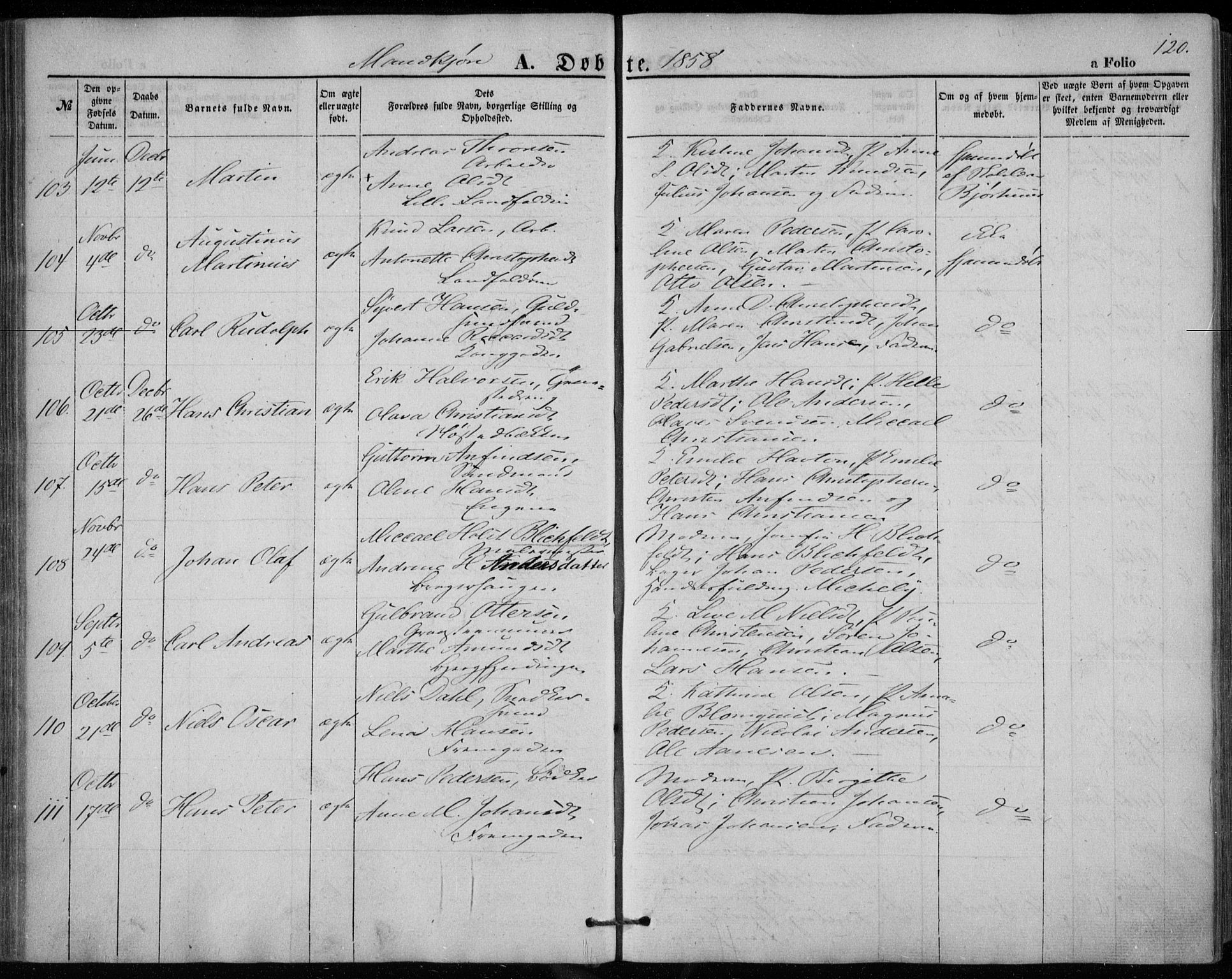 Bragernes kirkebøker, AV/SAKO-A-6/F/Fb/L0002: Parish register (official) no. II 2, 1848-1859, p. 120