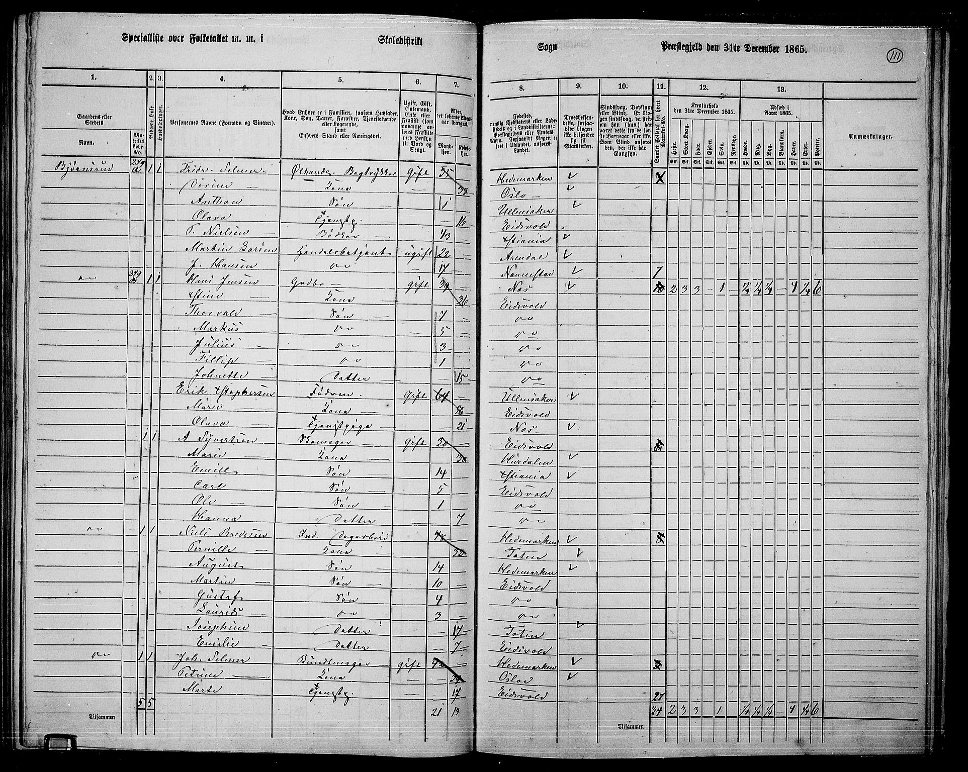 RA, 1865 census for Eidsvoll, 1865, p. 97