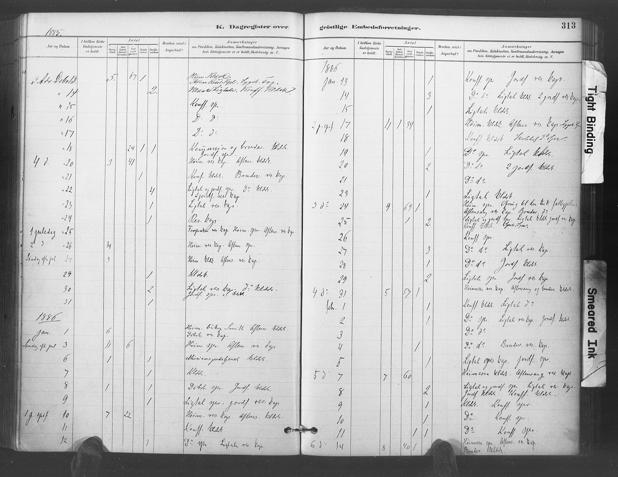 Kristiansand domprosti, AV/SAK-1112-0006/F/Fa/L0018: Parish register (official) no. A 17, 1880-1892, p. 313