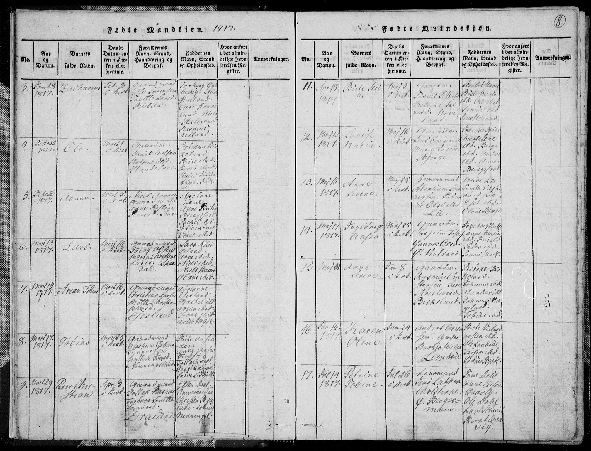Lyngdal sokneprestkontor, SAK/1111-0029/F/Fa/Fac/L0006: Parish register (official) no. A 6, 1815-1825, p. 8