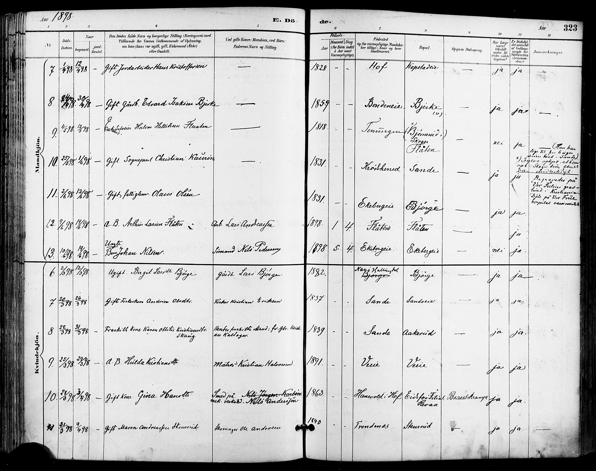 Sande Kirkebøker, AV/SAKO-A-53/F/Fa/L0007: Parish register (official) no. 7, 1888-1903, p. 323