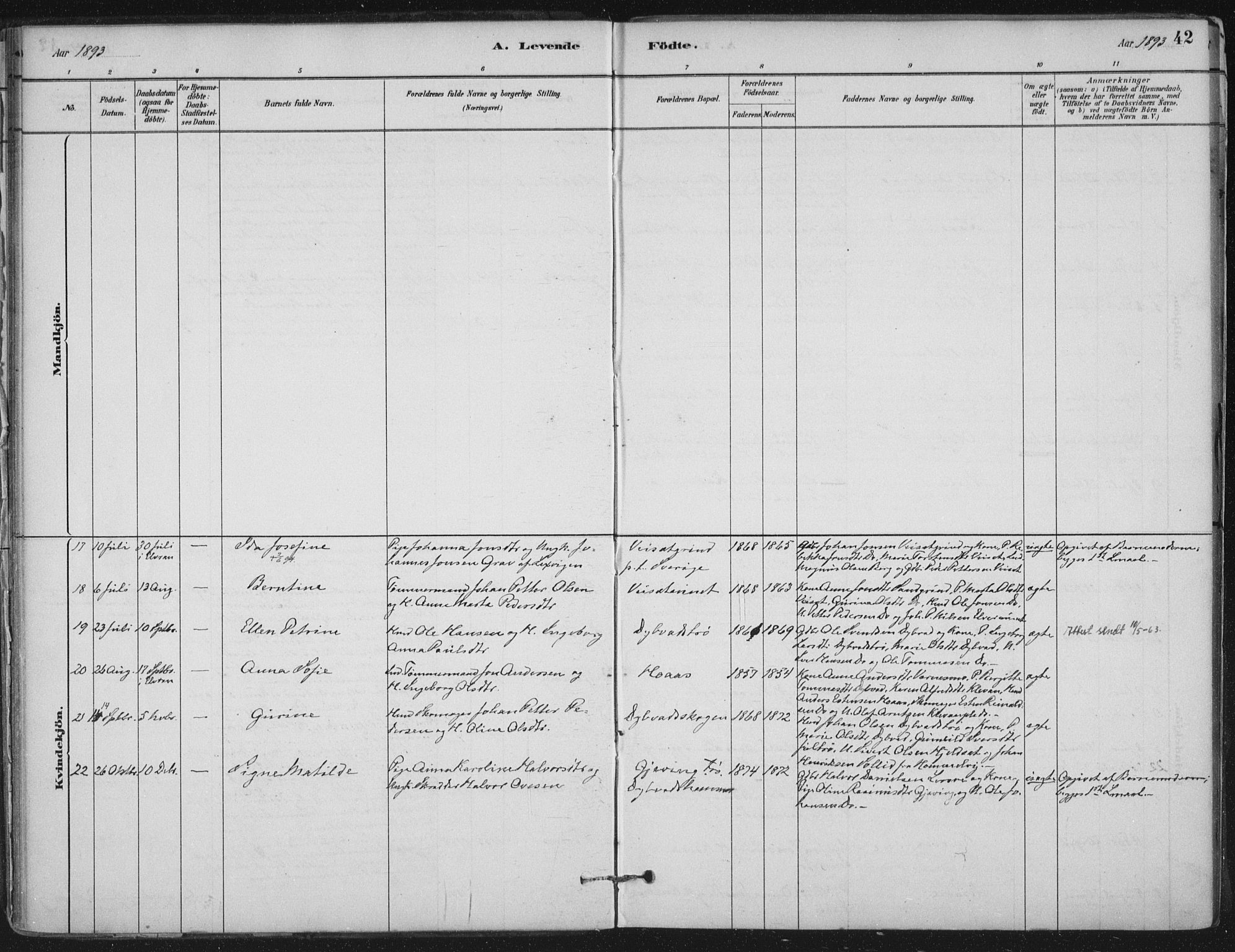 Ministerialprotokoller, klokkerbøker og fødselsregistre - Nord-Trøndelag, AV/SAT-A-1458/710/L0095: Parish register (official) no. 710A01, 1880-1914, p. 42