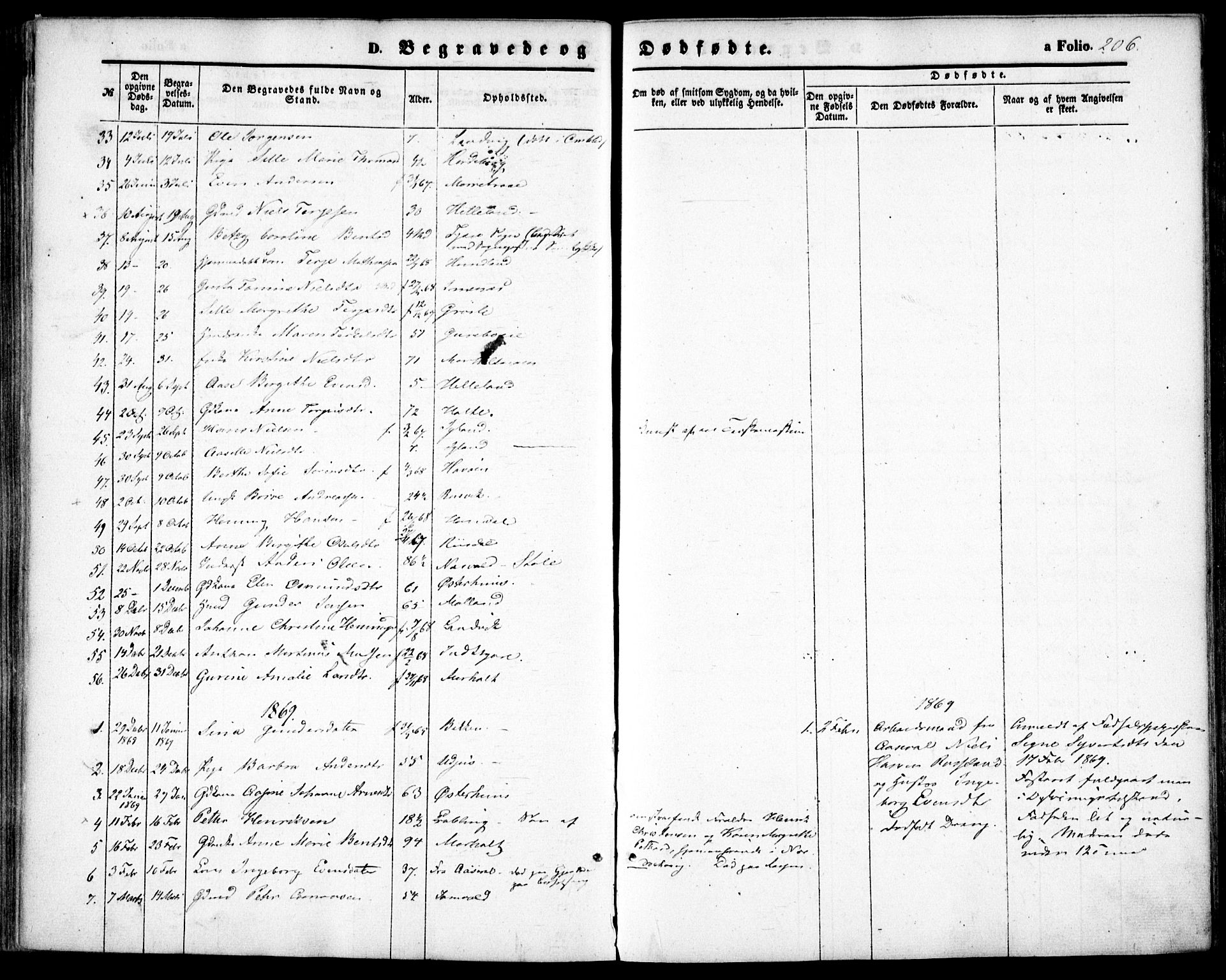 Hommedal sokneprestkontor, AV/SAK-1111-0023/F/Fa/Fab/L0005: Parish register (official) no. A 5, 1861-1877, p. 206