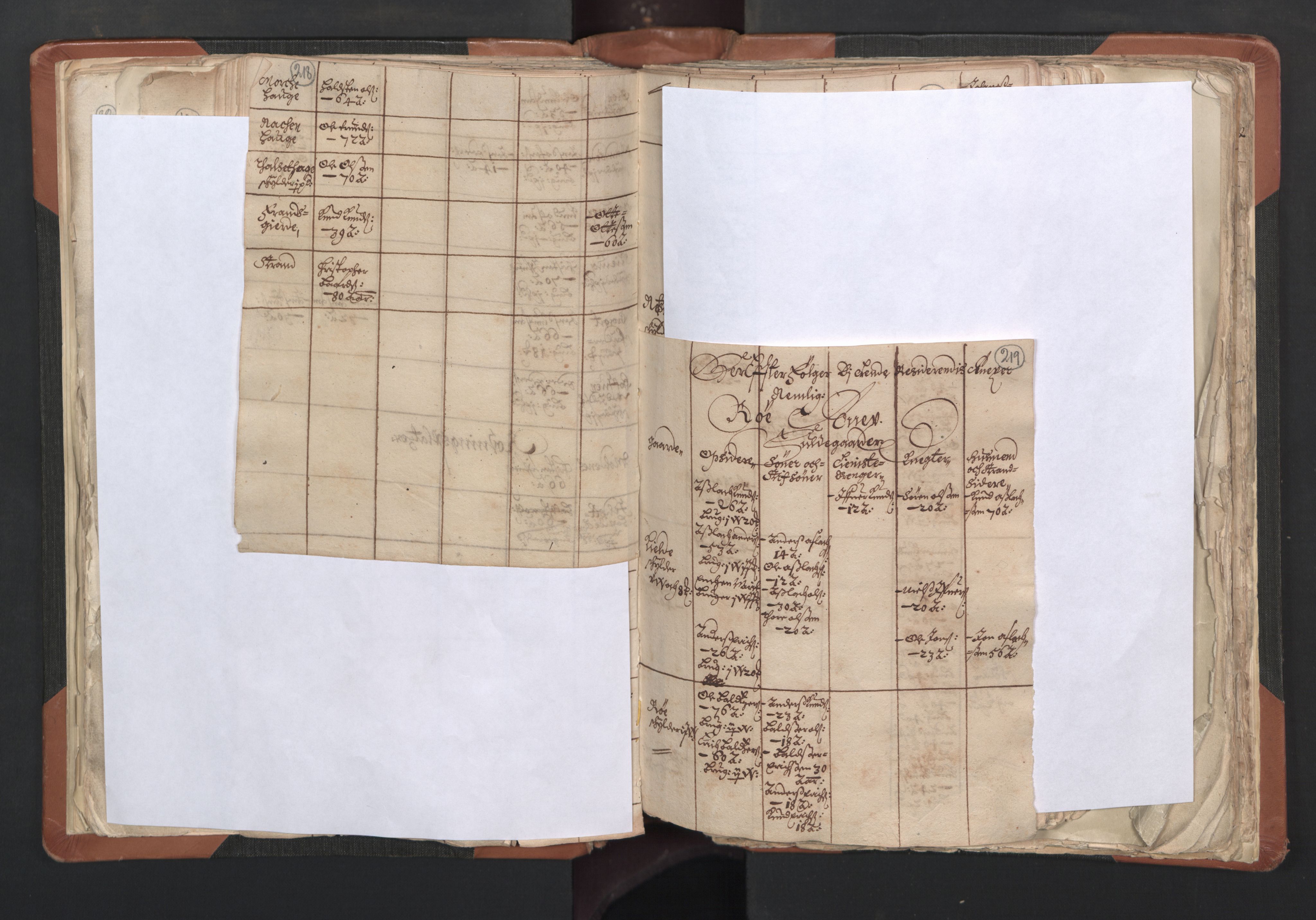 RA, Vicar's Census 1664-1666, no. 27: Romsdal deanery, 1664-1666, p. 218-219