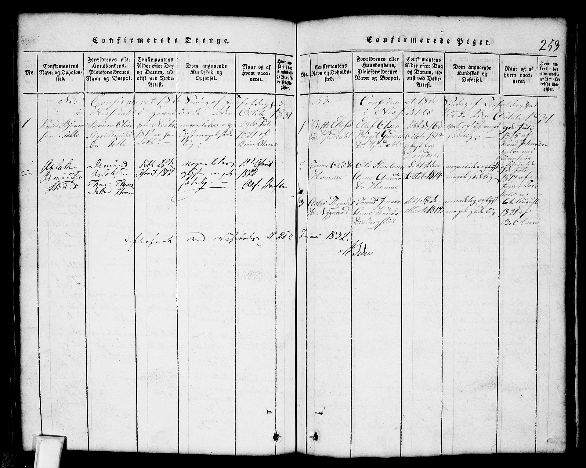 Nissedal kirkebøker, SAKO/A-288/G/Gb/L0001: Parish register (copy) no. II 1, 1814-1862, p. 253