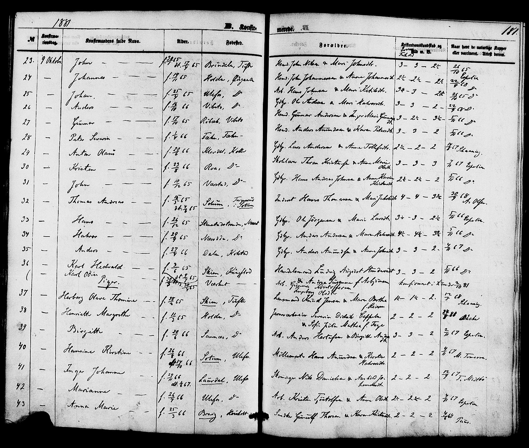 Holla kirkebøker, SAKO/A-272/F/Fa/L0007: Parish register (official) no. 7, 1869-1881, p. 181