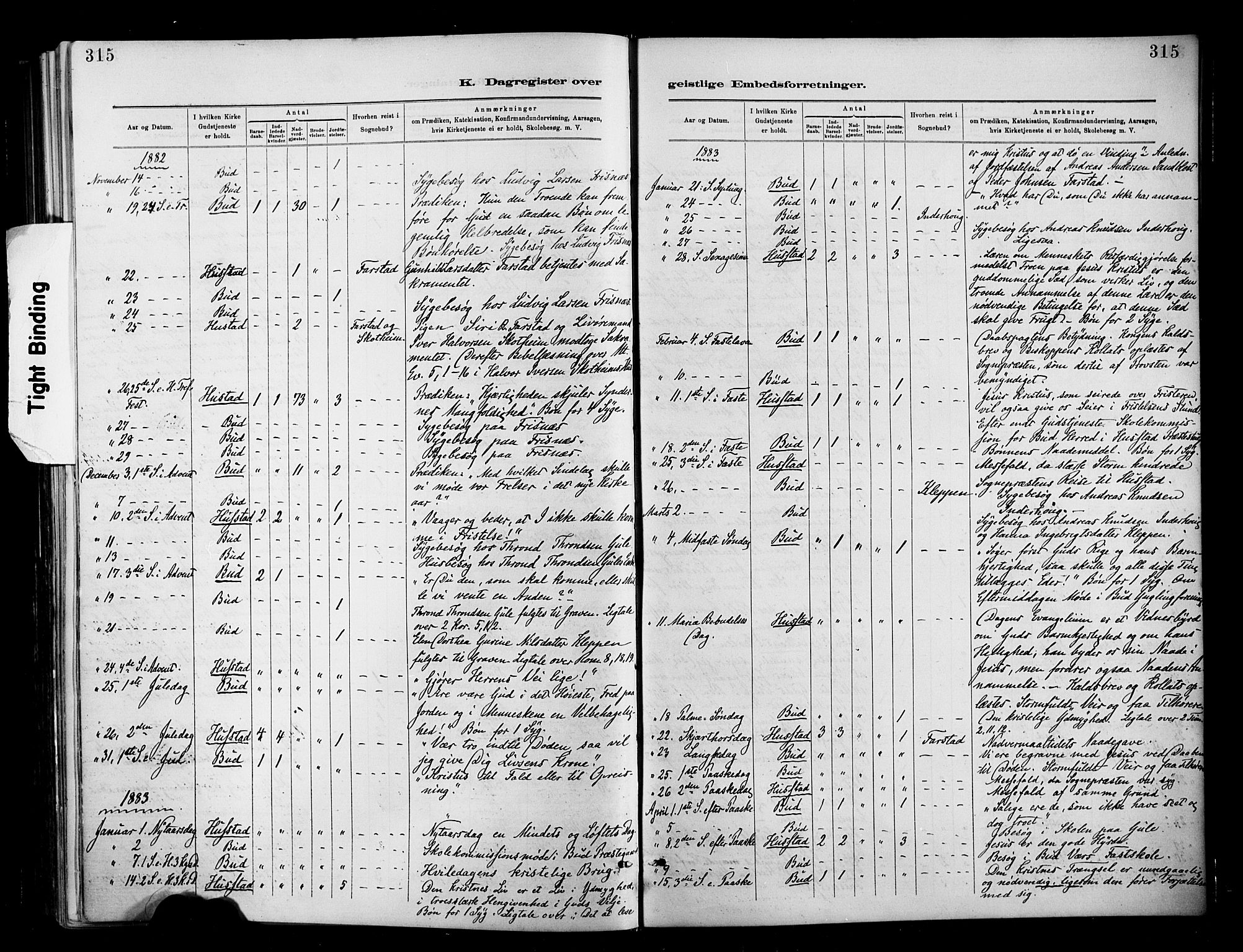 Ministerialprotokoller, klokkerbøker og fødselsregistre - Møre og Romsdal, AV/SAT-A-1454/566/L0769: Parish register (official) no. 566A08, 1881-1903, p. 315