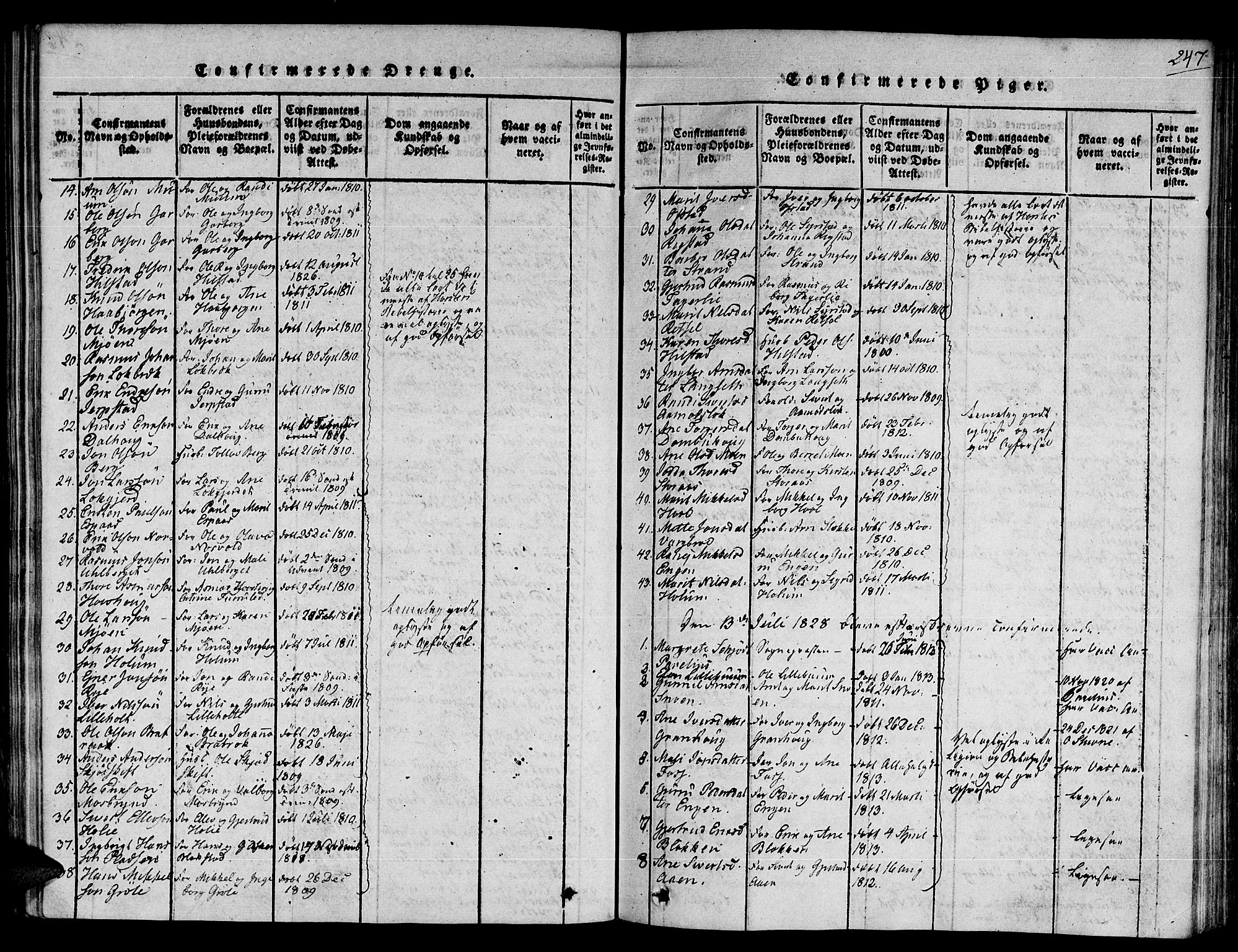 Ministerialprotokoller, klokkerbøker og fødselsregistre - Sør-Trøndelag, AV/SAT-A-1456/672/L0853: Parish register (official) no. 672A06 /1, 1816-1829, p. 247