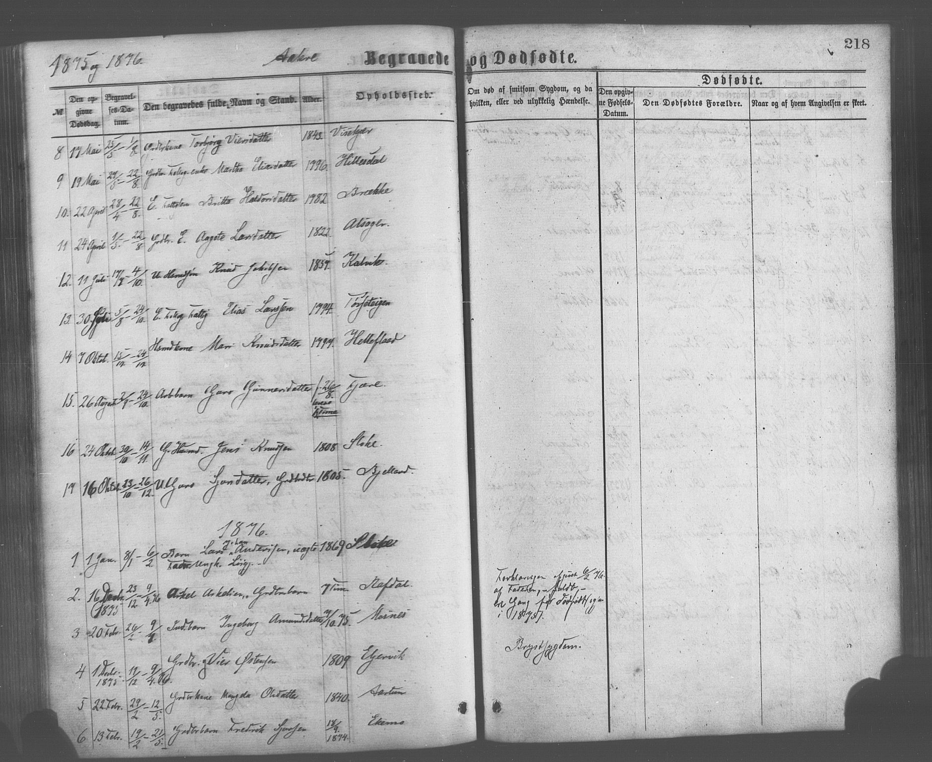 Skånevik sokneprestembete, AV/SAB-A-77801/H/Haa: Parish register (official) no. A 6, 1869-1878, p. 218