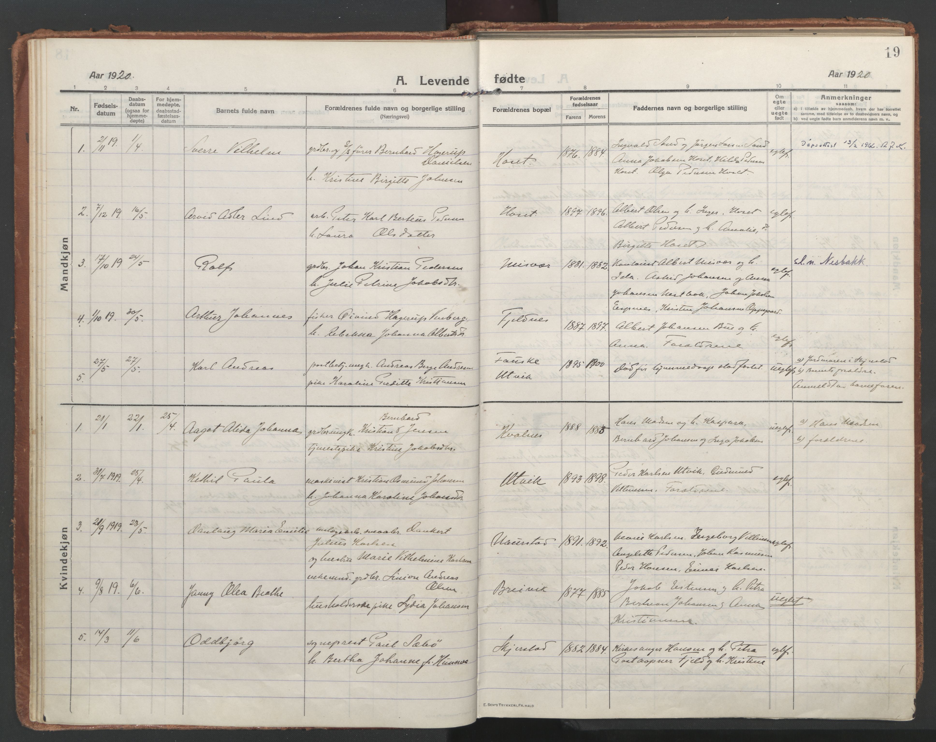 Ministerialprotokoller, klokkerbøker og fødselsregistre - Nordland, SAT/A-1459/852/L0748: Parish register (official) no. 852A18, 1913-1932, p. 19