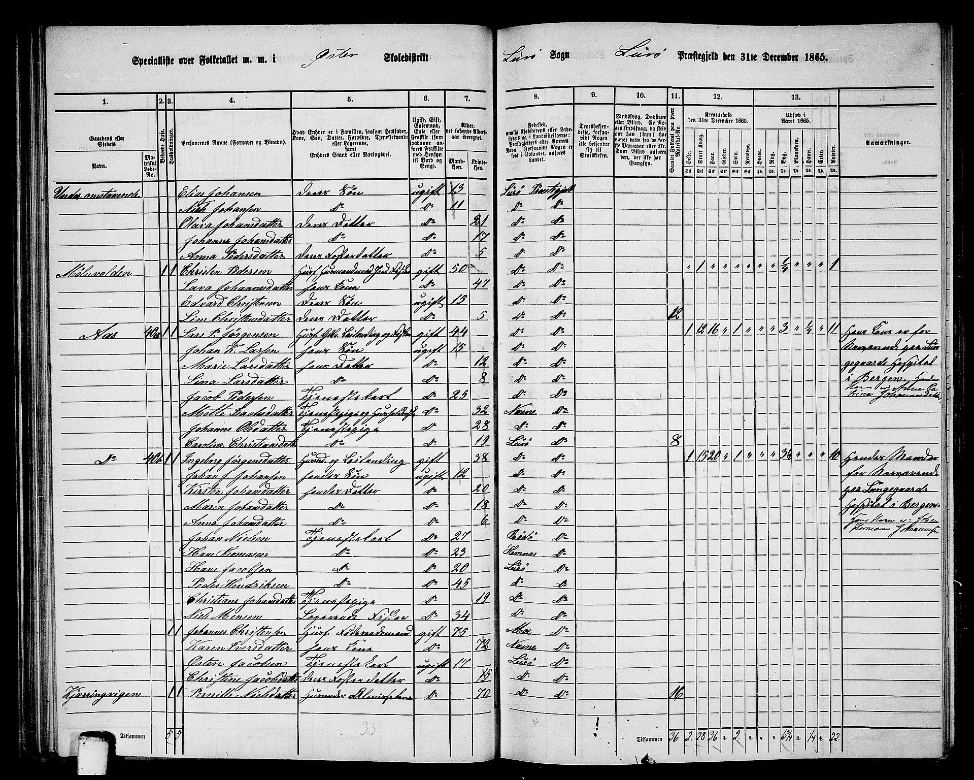 RA, 1865 census for Lurøy, 1865, p. 51