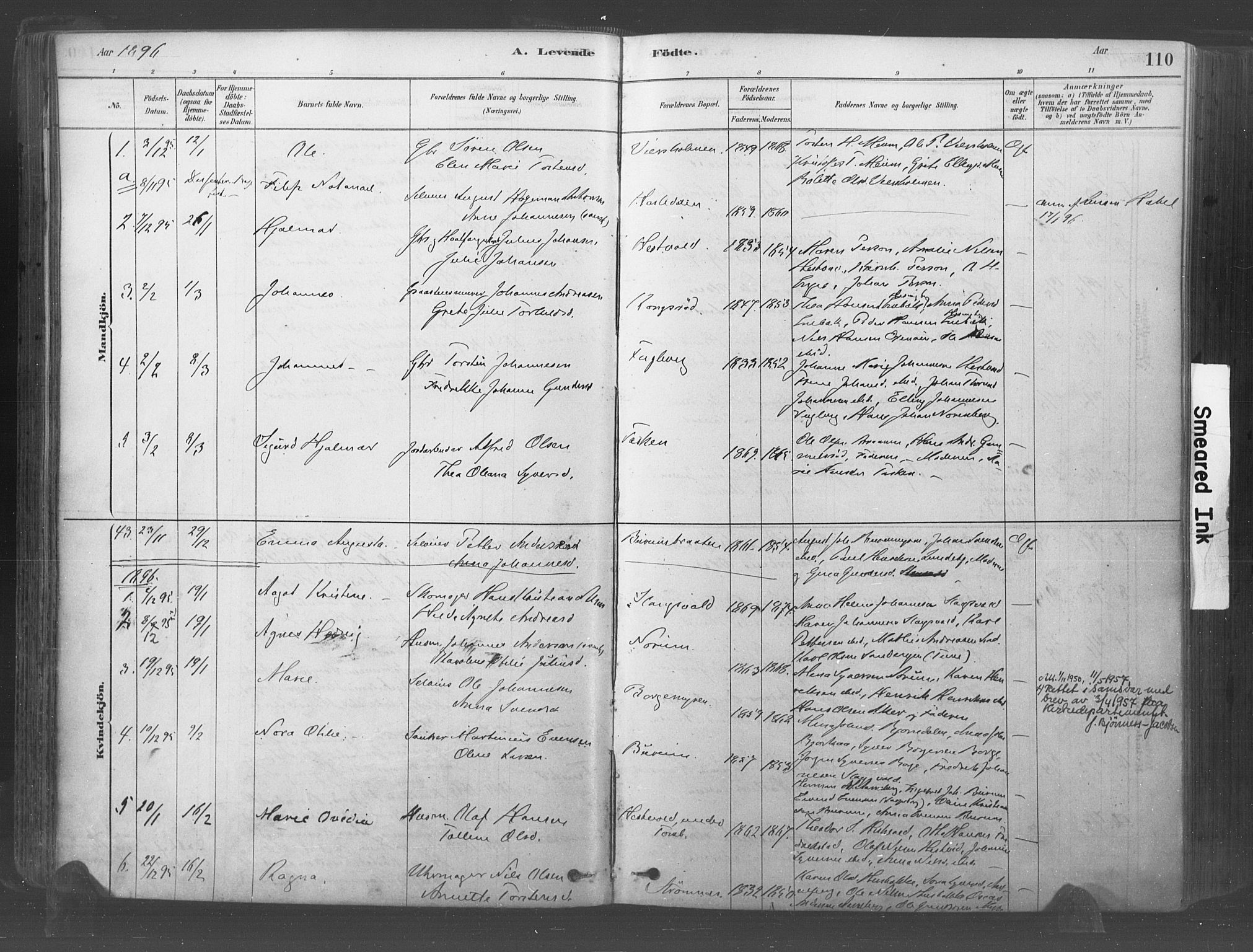 Råde prestekontor kirkebøker, SAO/A-2009/F/Fa/L0007: Parish register (official) no. 7, 1878-1902, p. 110