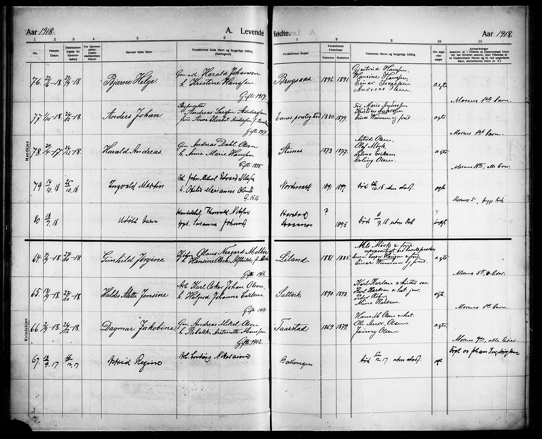 Ministerialprotokoller, klokkerbøker og fødselsregistre - Nordland, AV/SAT-A-1459/863/L0916: Parish register (copy) no. 863C06, 1907-1921