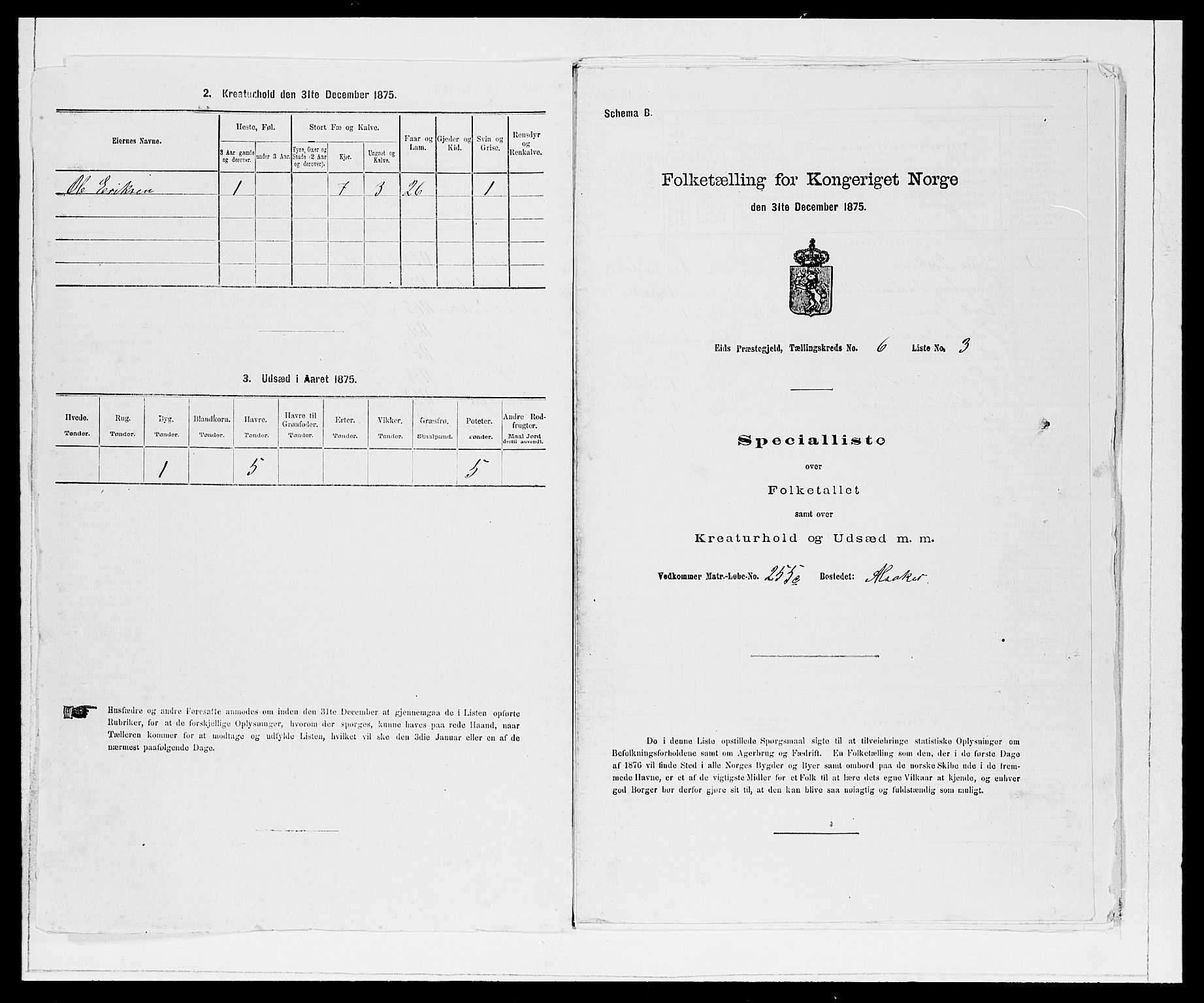 SAB, 1875 Census for 1443P Eid, 1875, p. 675