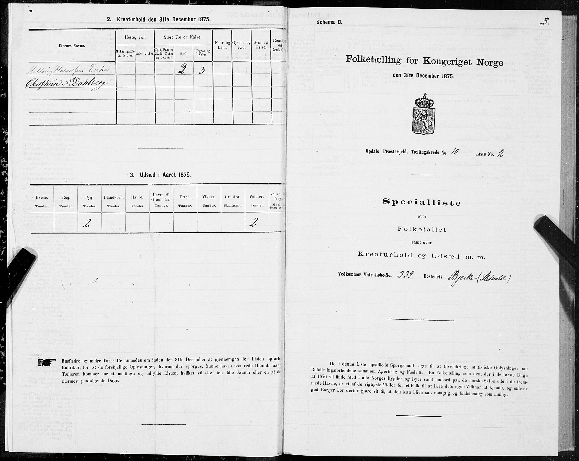 SAT, 1875 census for 1634P Oppdal, 1875, p. 7003