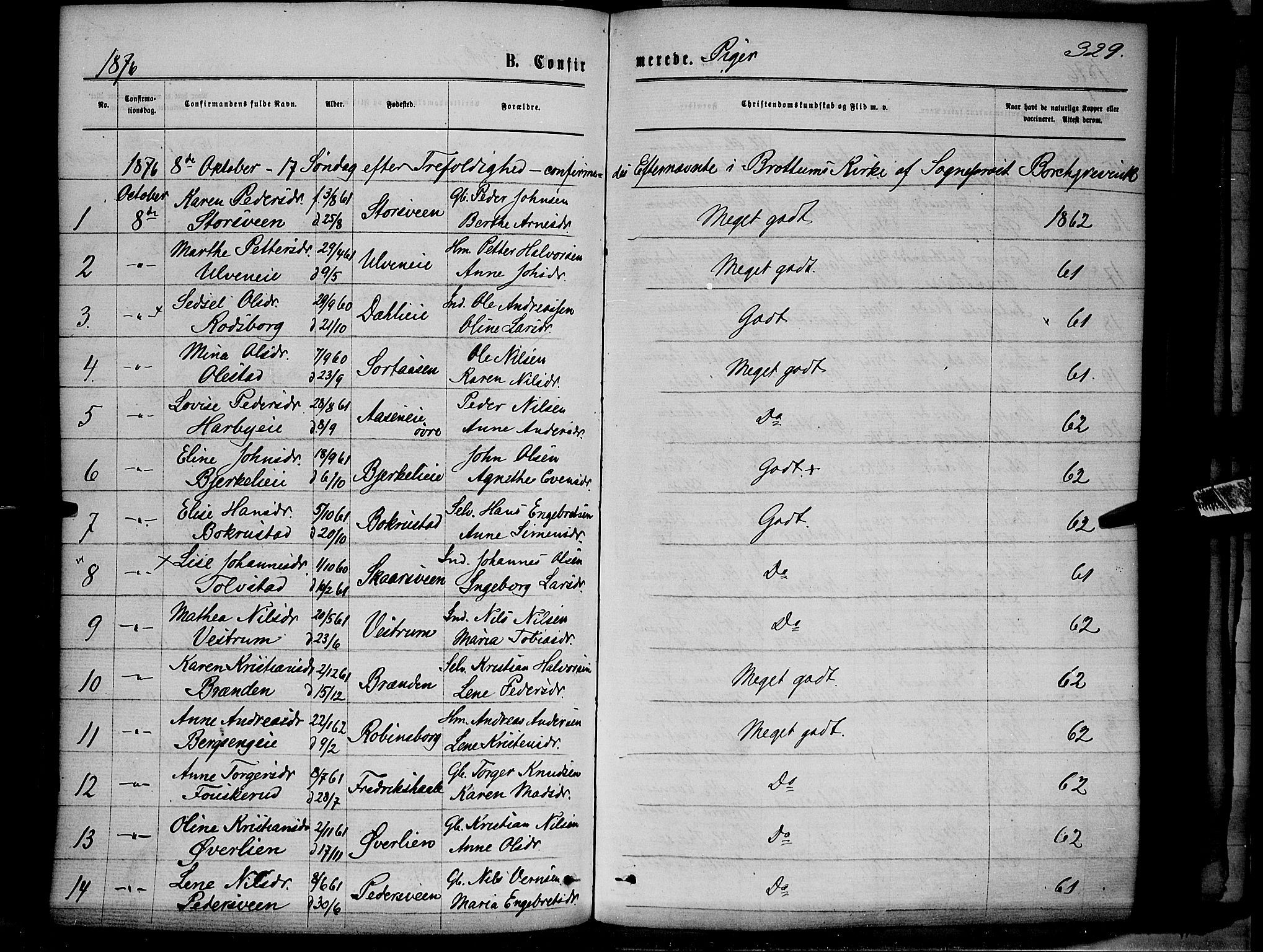 Ringsaker prestekontor, AV/SAH-PREST-014/K/Ka/L0011: Parish register (official) no. 11, 1870-1878, p. 329