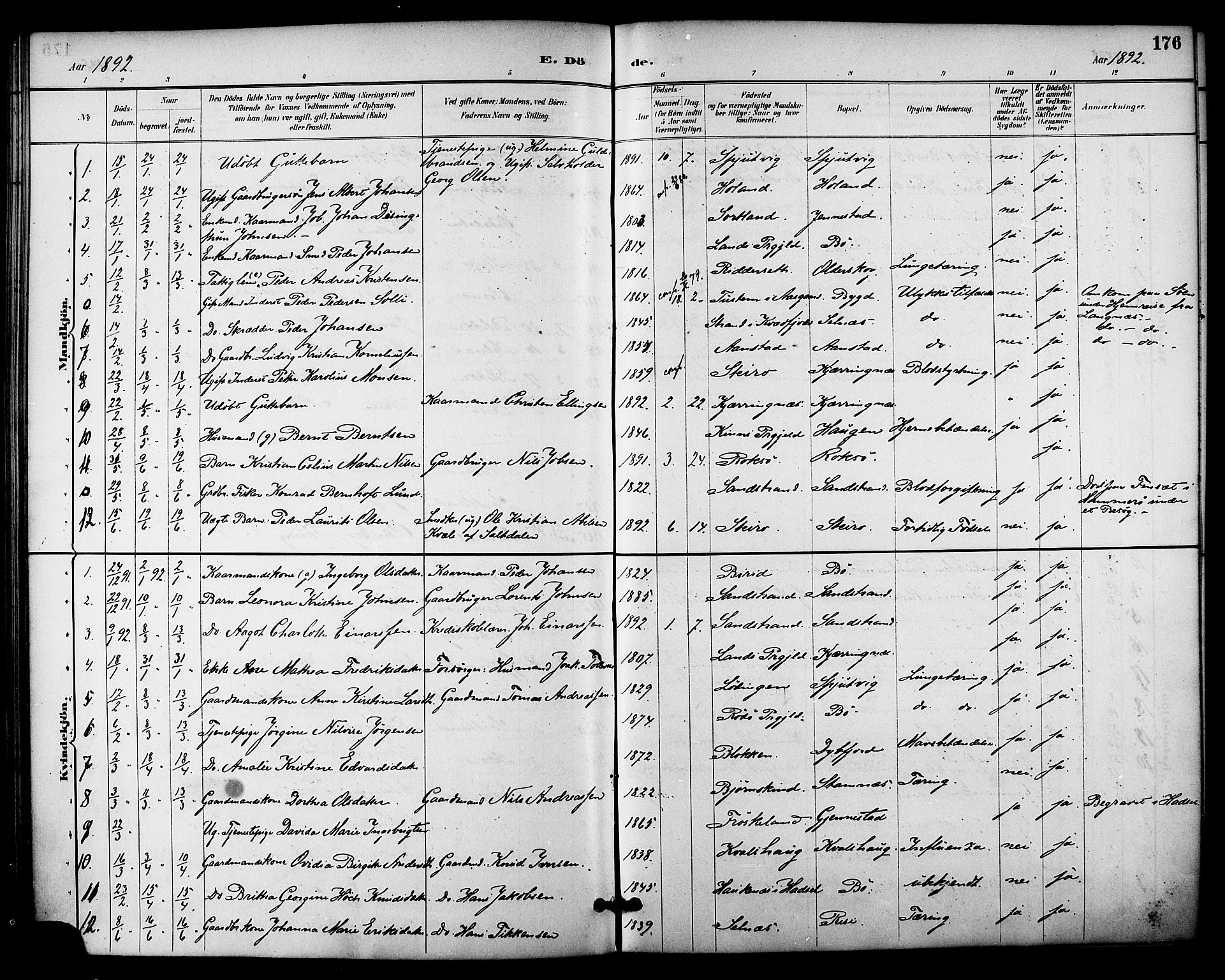 Ministerialprotokoller, klokkerbøker og fødselsregistre - Nordland, AV/SAT-A-1459/895/L1371: Parish register (official) no. 895A06, 1885-1894, p. 176