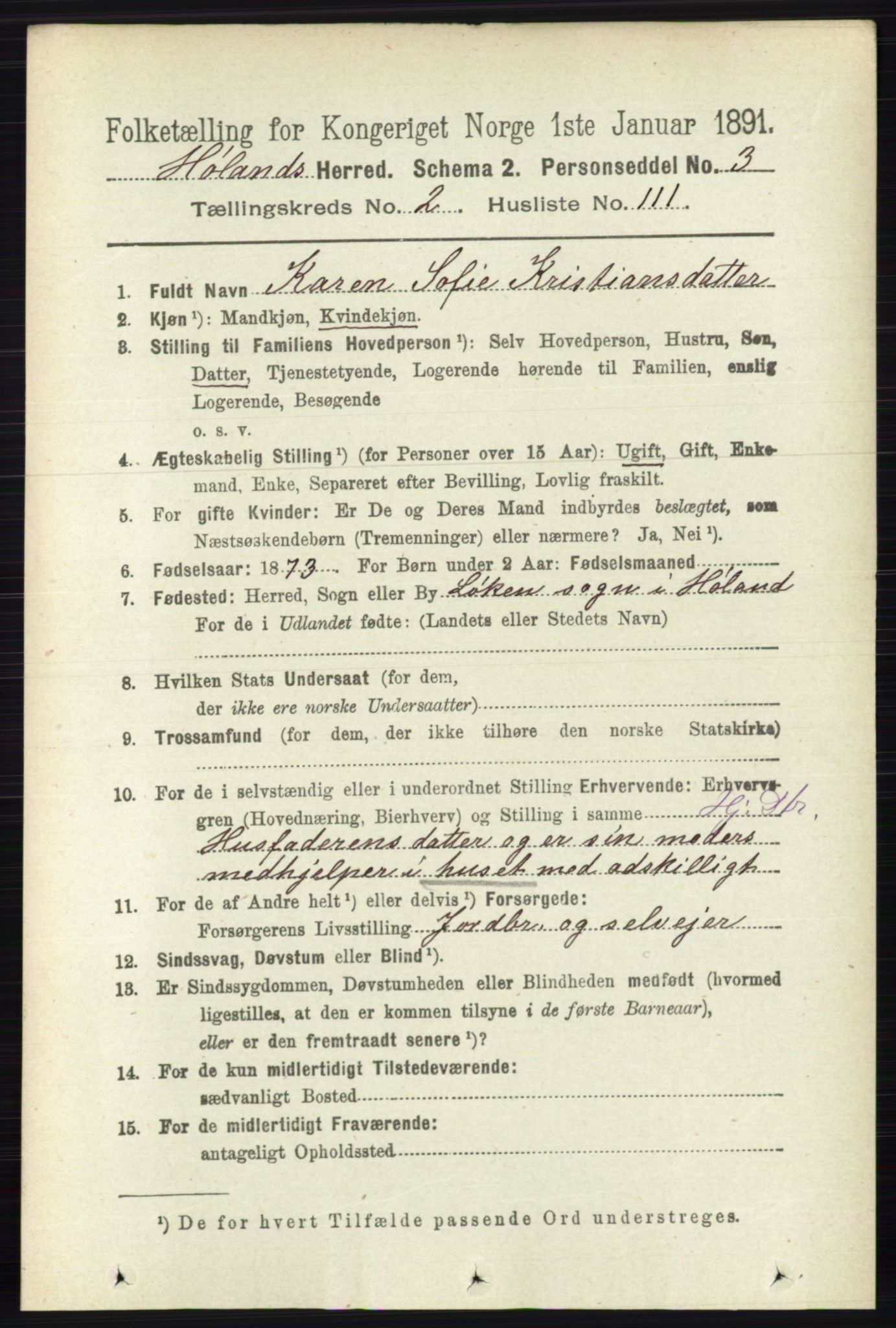 RA, 1891 census for 0221 Høland, 1891, p. 1524