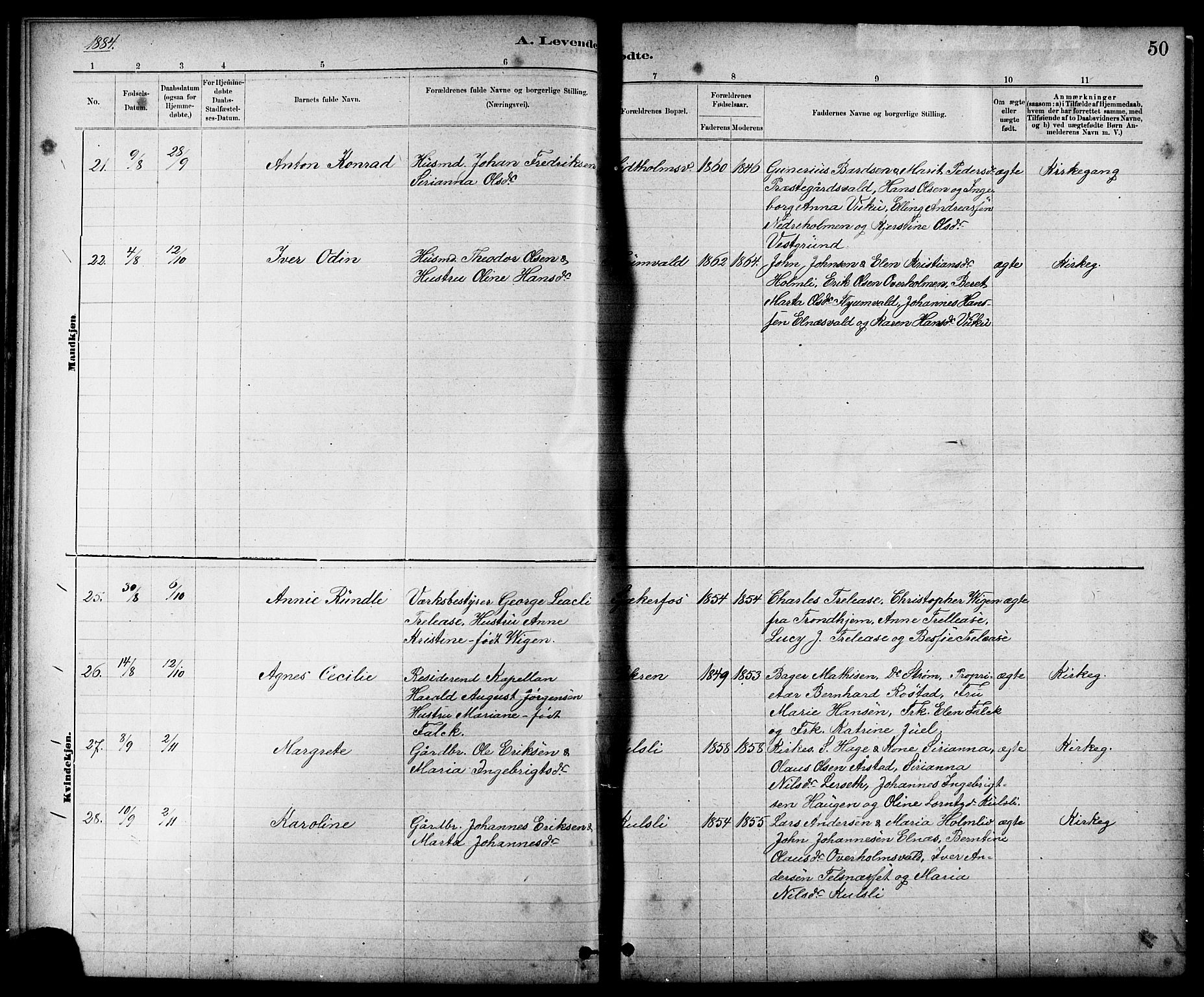 Ministerialprotokoller, klokkerbøker og fødselsregistre - Nord-Trøndelag, AV/SAT-A-1458/724/L0267: Parish register (copy) no. 724C03, 1879-1898, p. 50